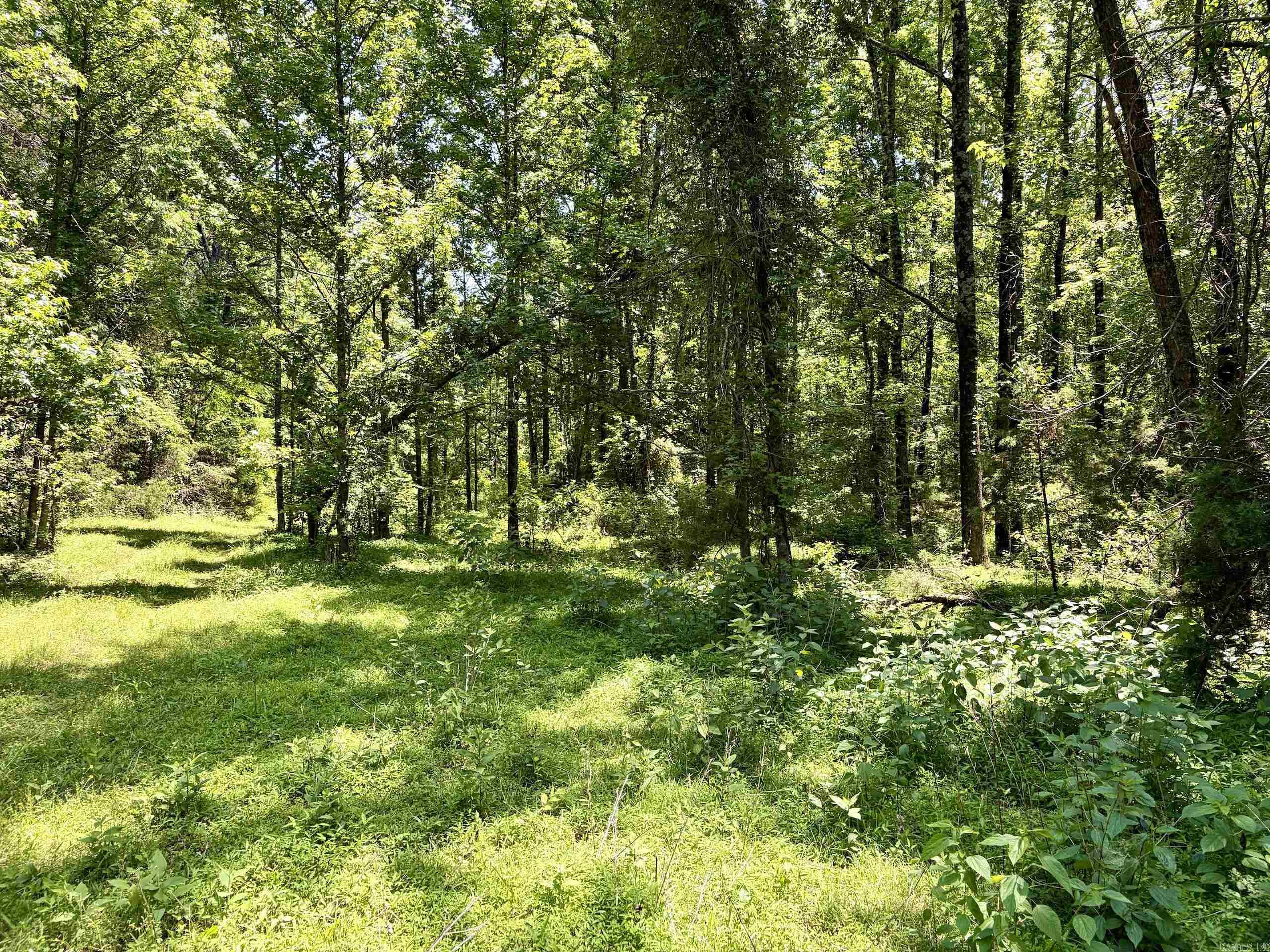 1250 CR 2651  Lamar, AR