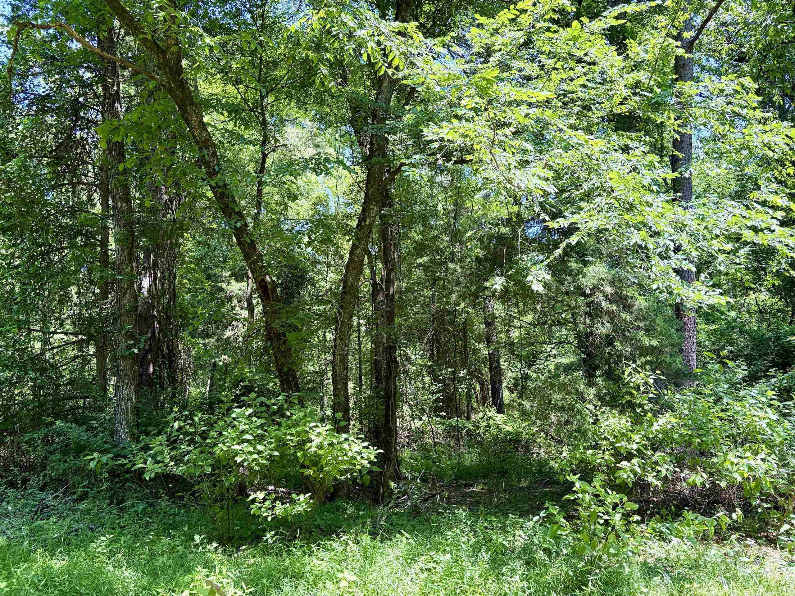1250 CR 2651  Lamar, AR
