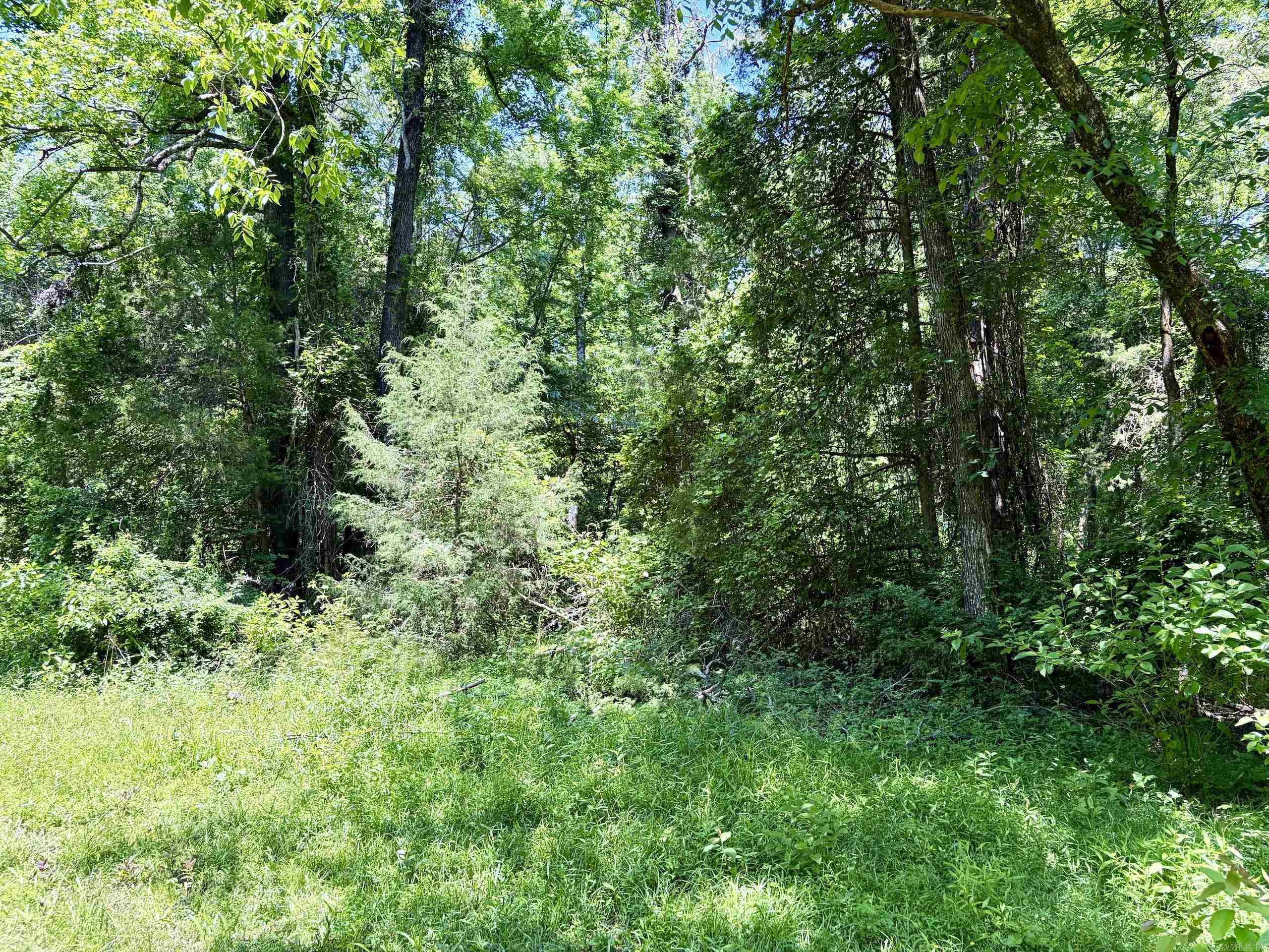 1250 CR 2651  Lamar, AR