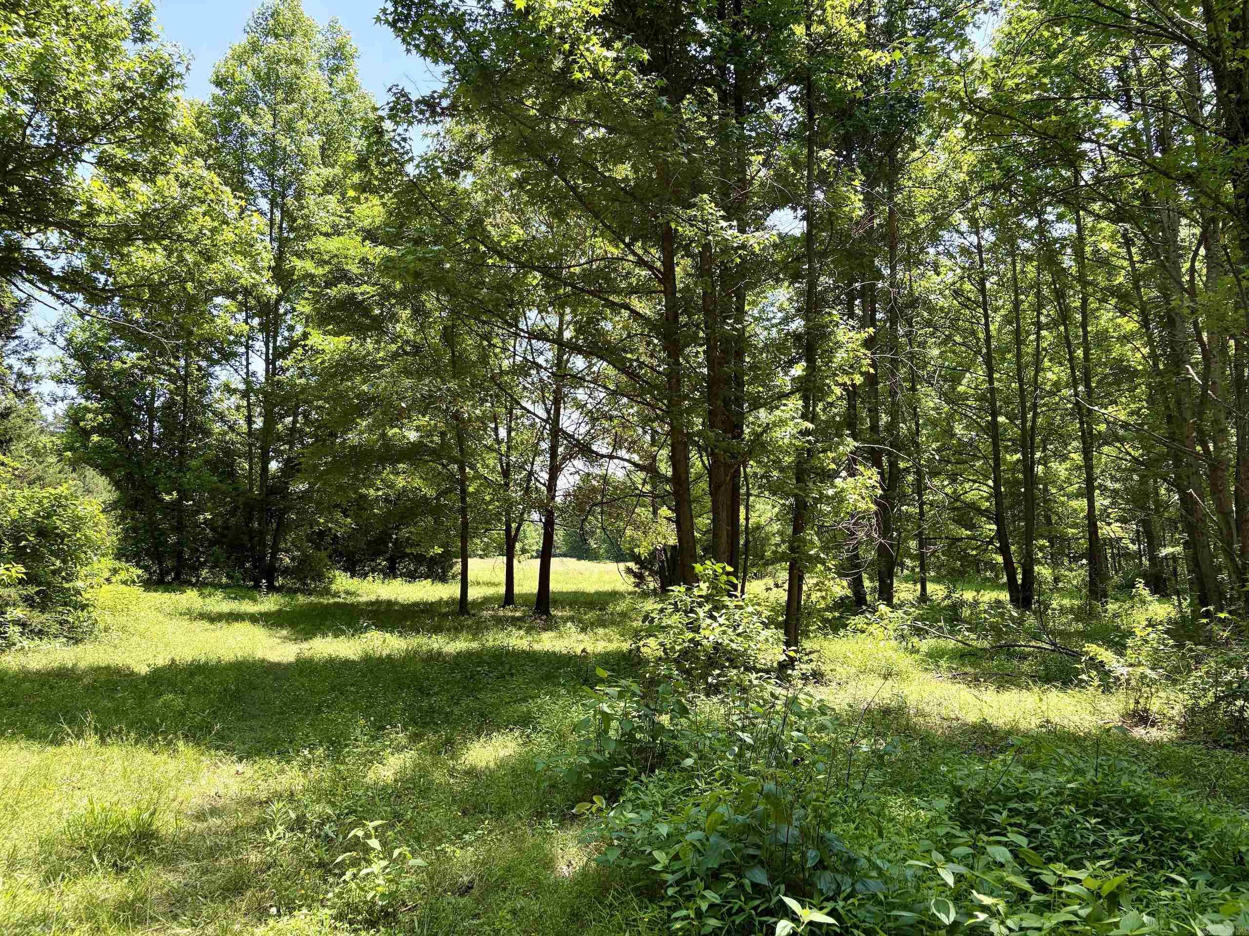 1250 CR 2651  Lamar, AR