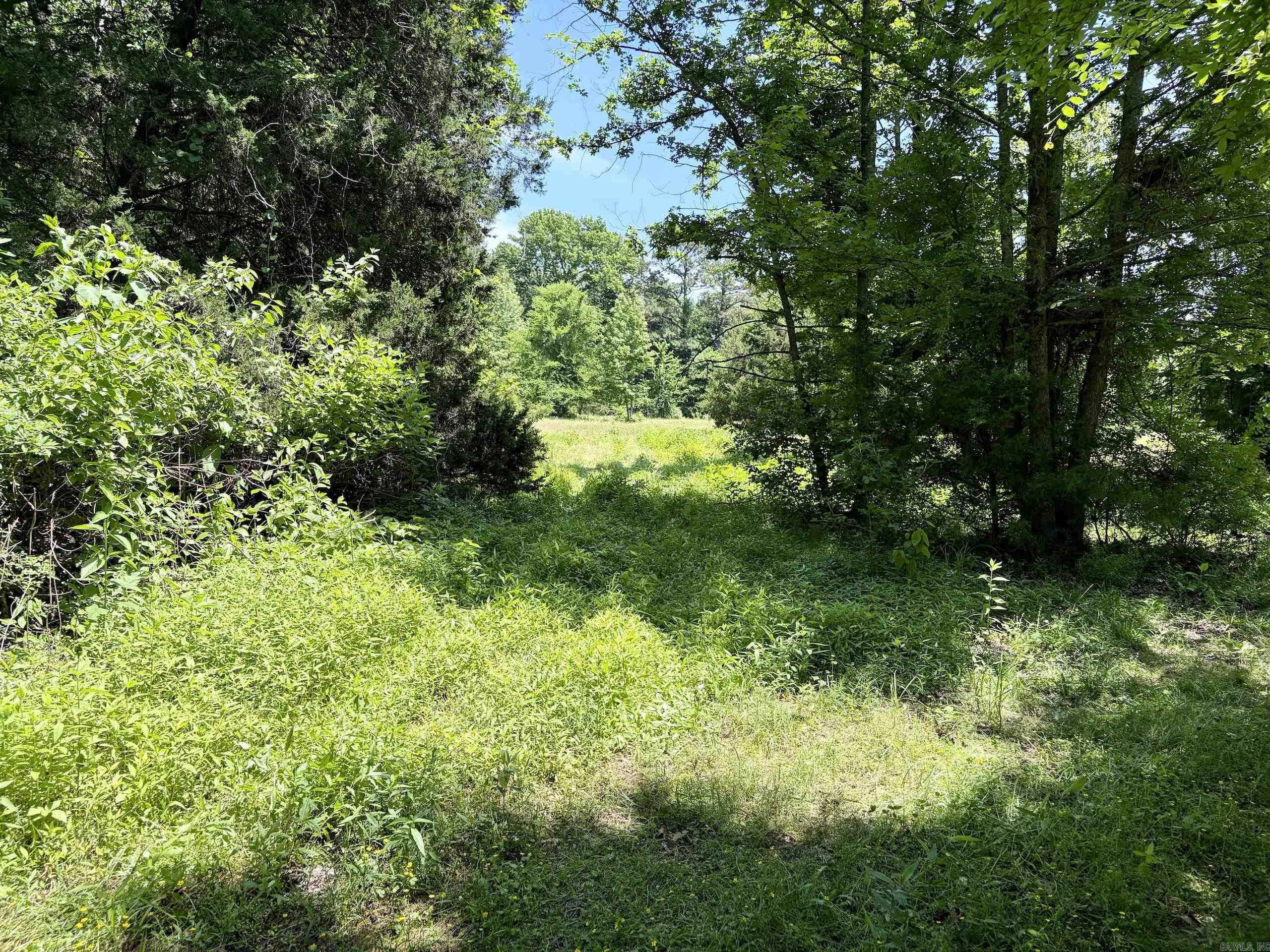 1250 CR 2651  Lamar, AR