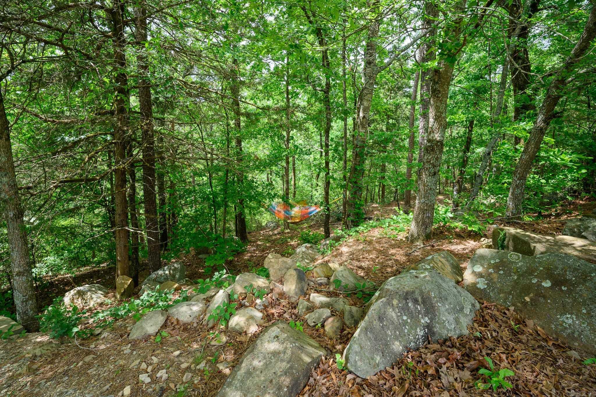 138 Sunrise Lane  Cove, AR