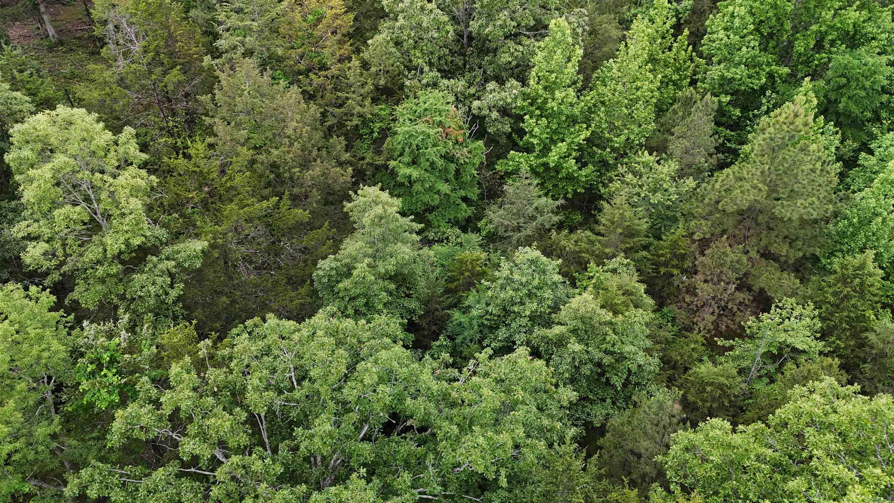 0 Pleasant Grove Loop  Cleveland, AR