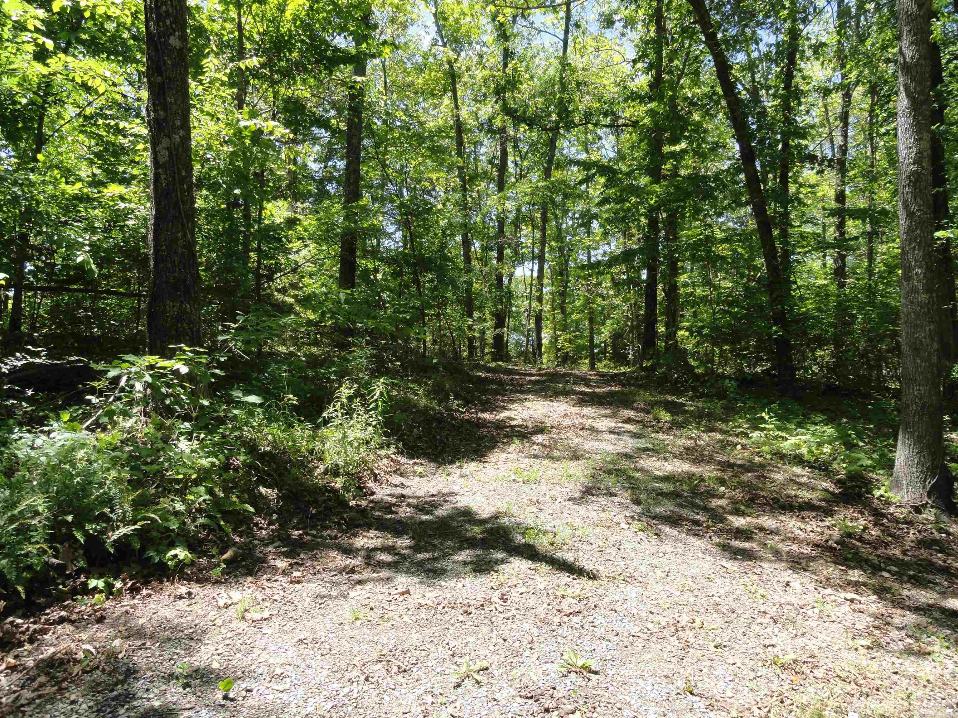 864 Spirit  Saint Joe, AR