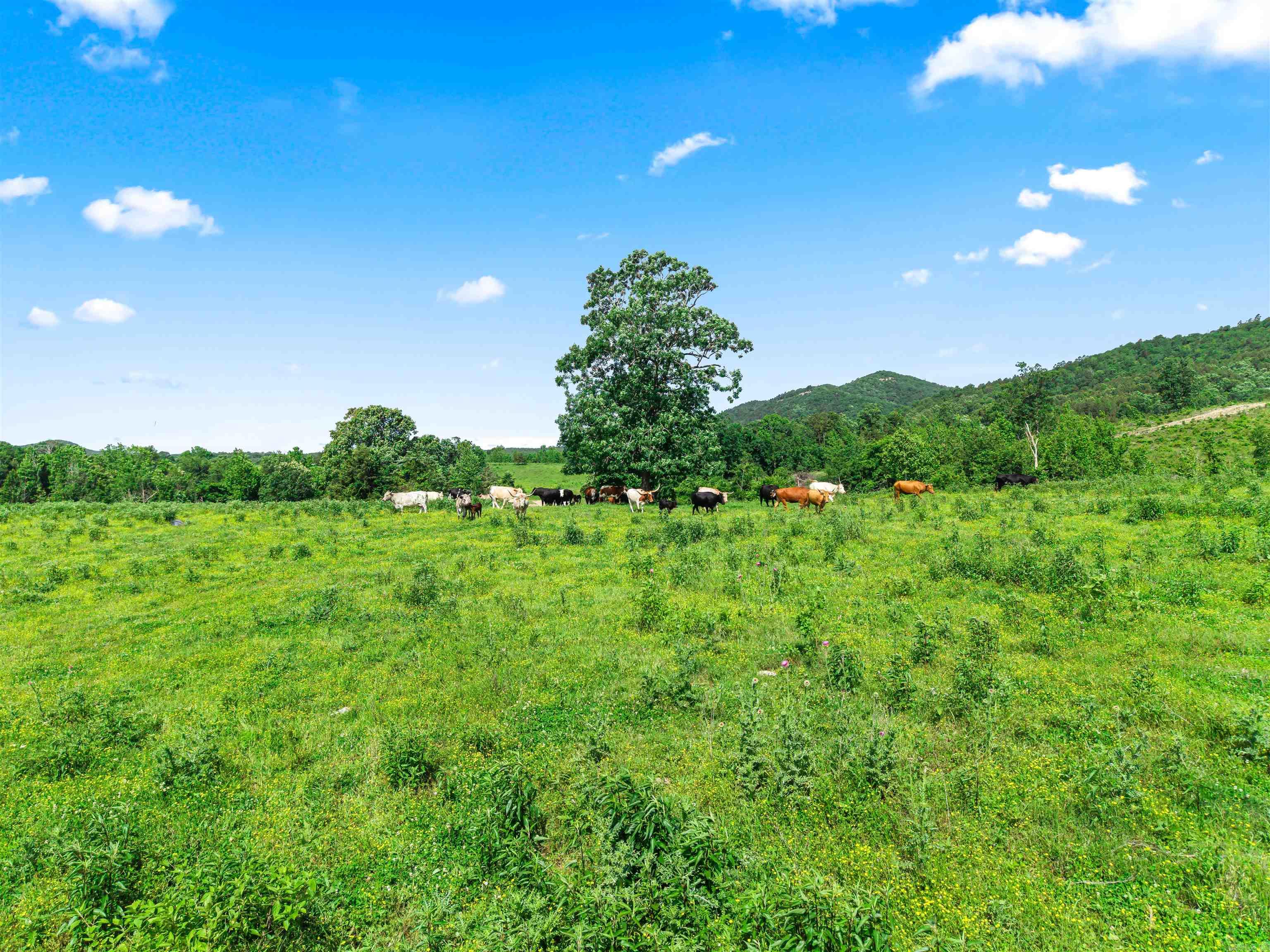 27 Duggan  Glenwood, AR