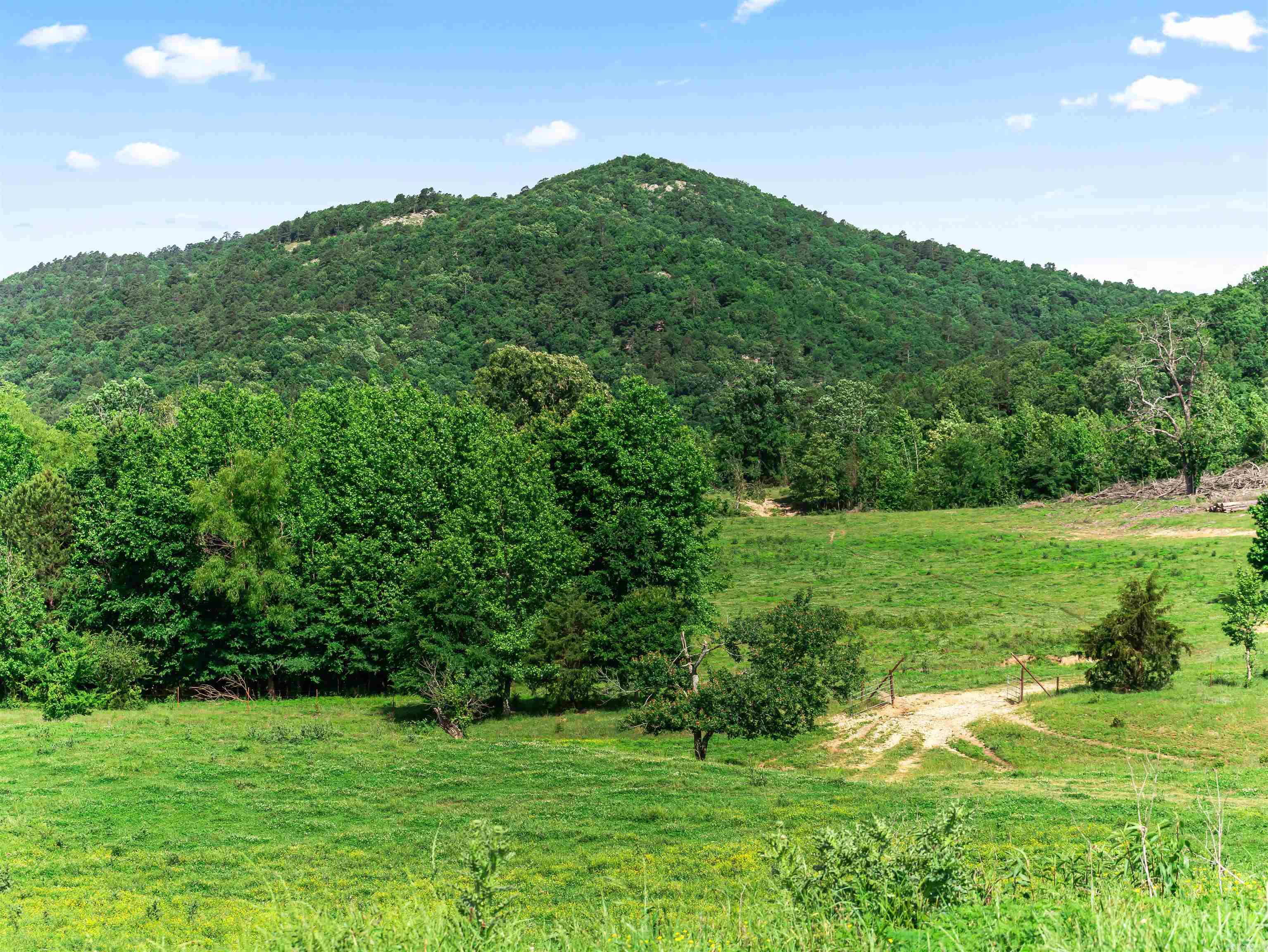 27 Duggan  Glenwood, AR
