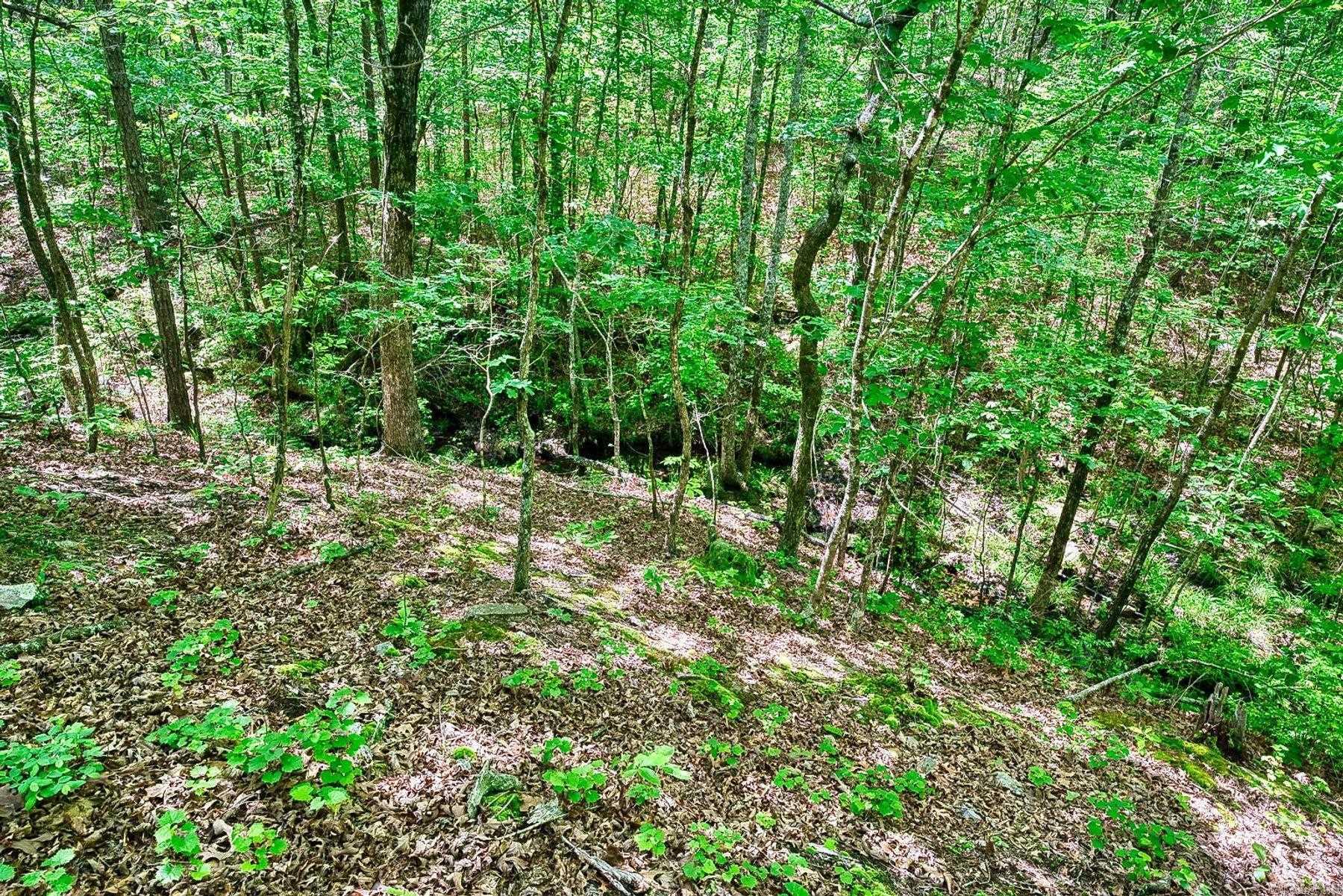 316 Stihl Rd  Hot Springs, AR