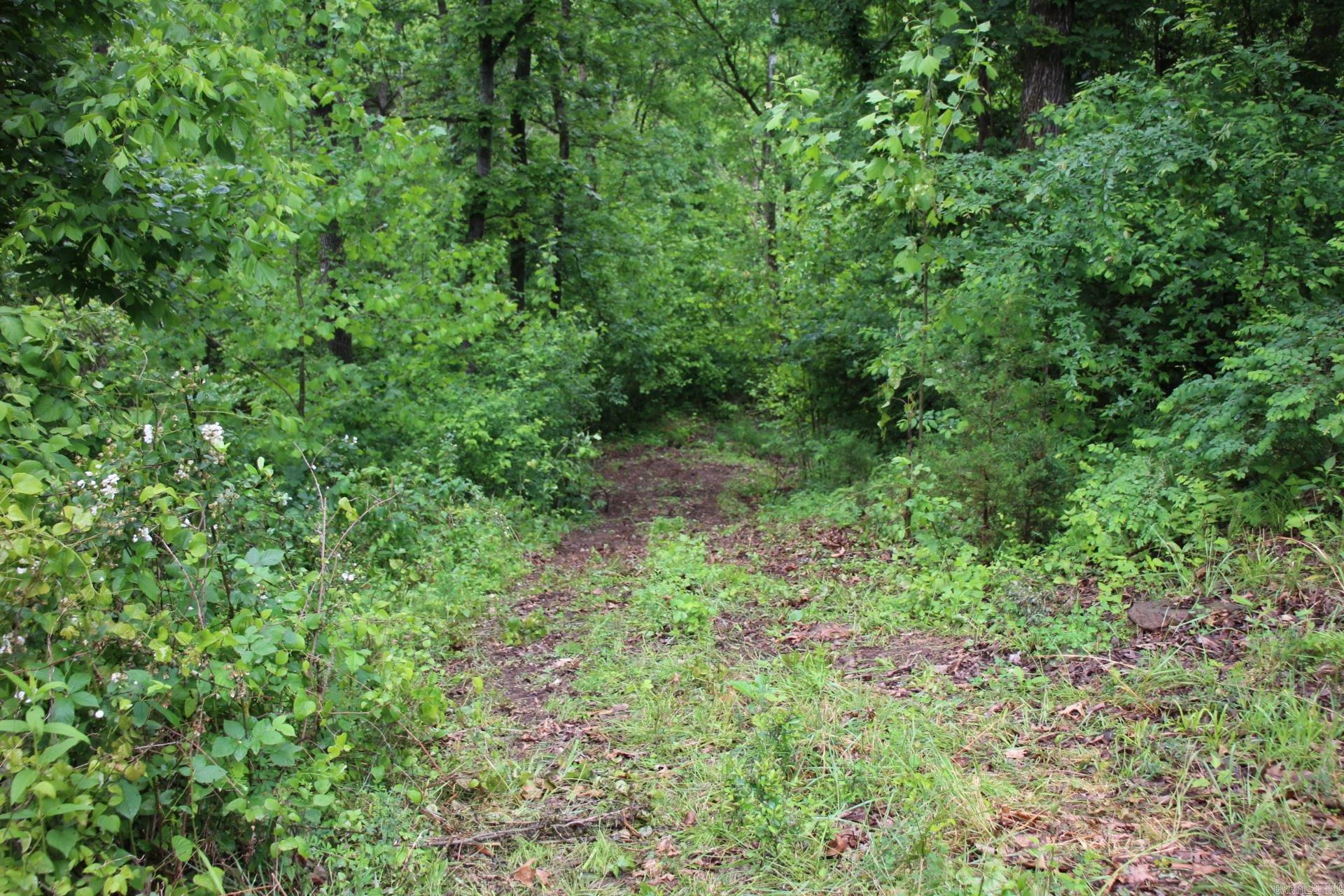 3811 MC 6014  Yellville, AR