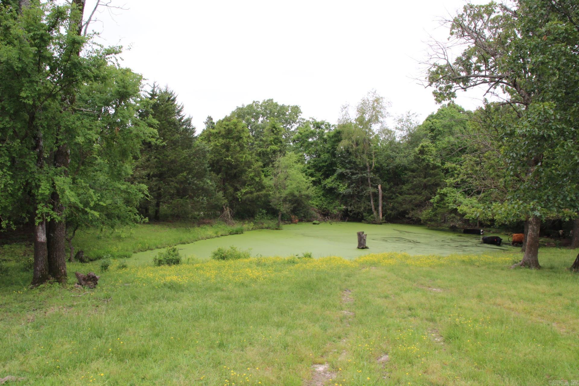 3811 MC 6014  Yellville, AR
