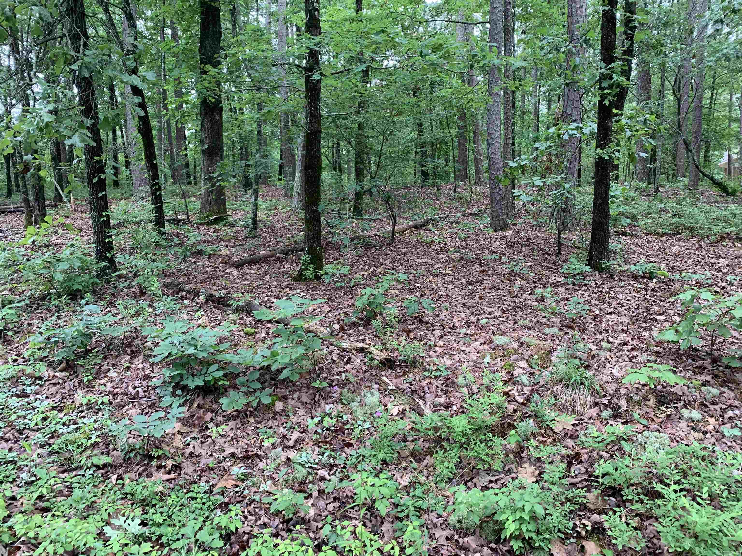 11 Estancia  Hot Springs Village, AR