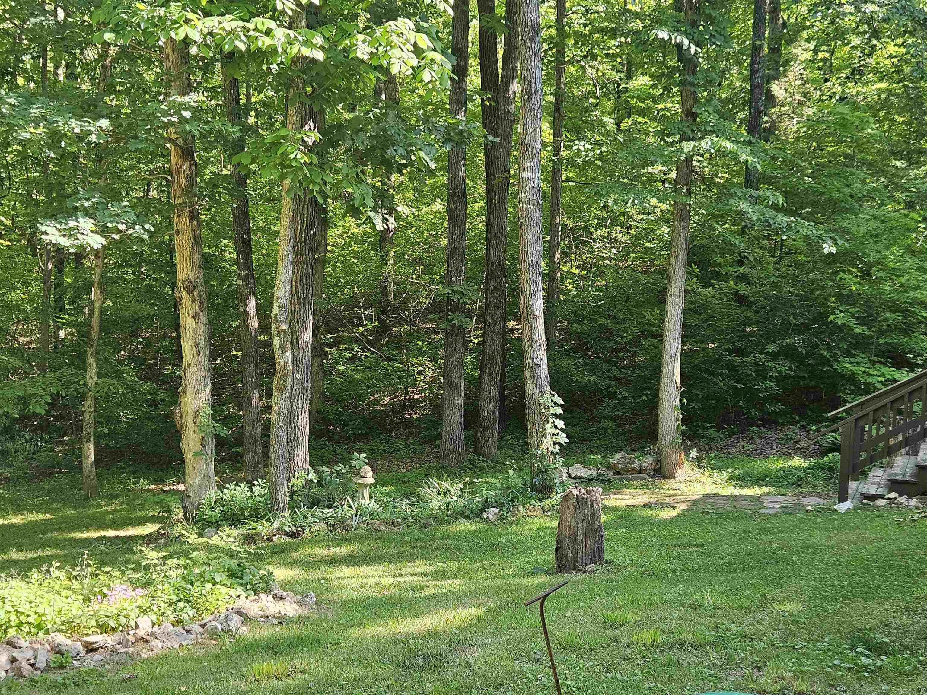 3986 Oak Grove  Mountain View, AR