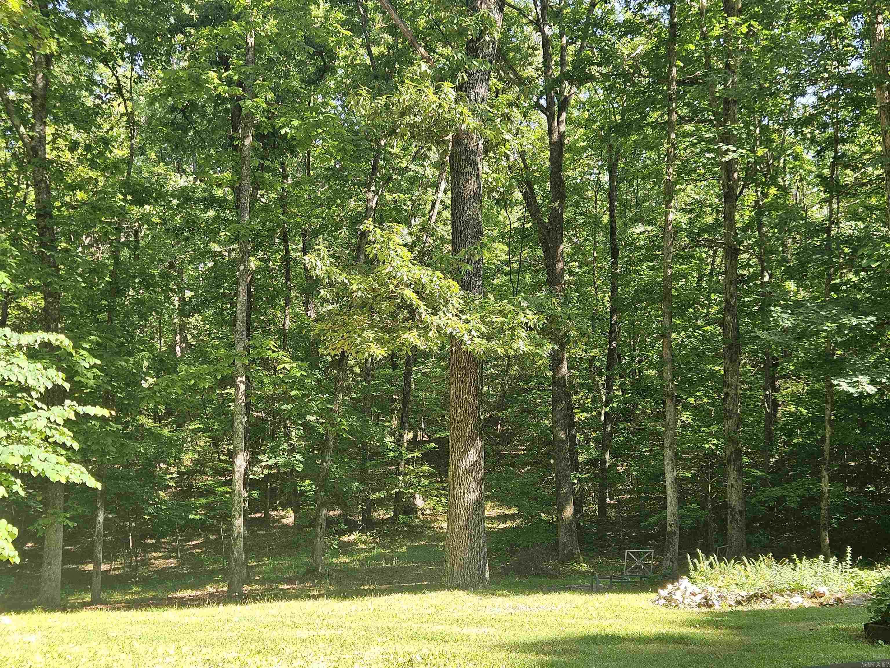 3986 Oak Grove  Mountain View, AR