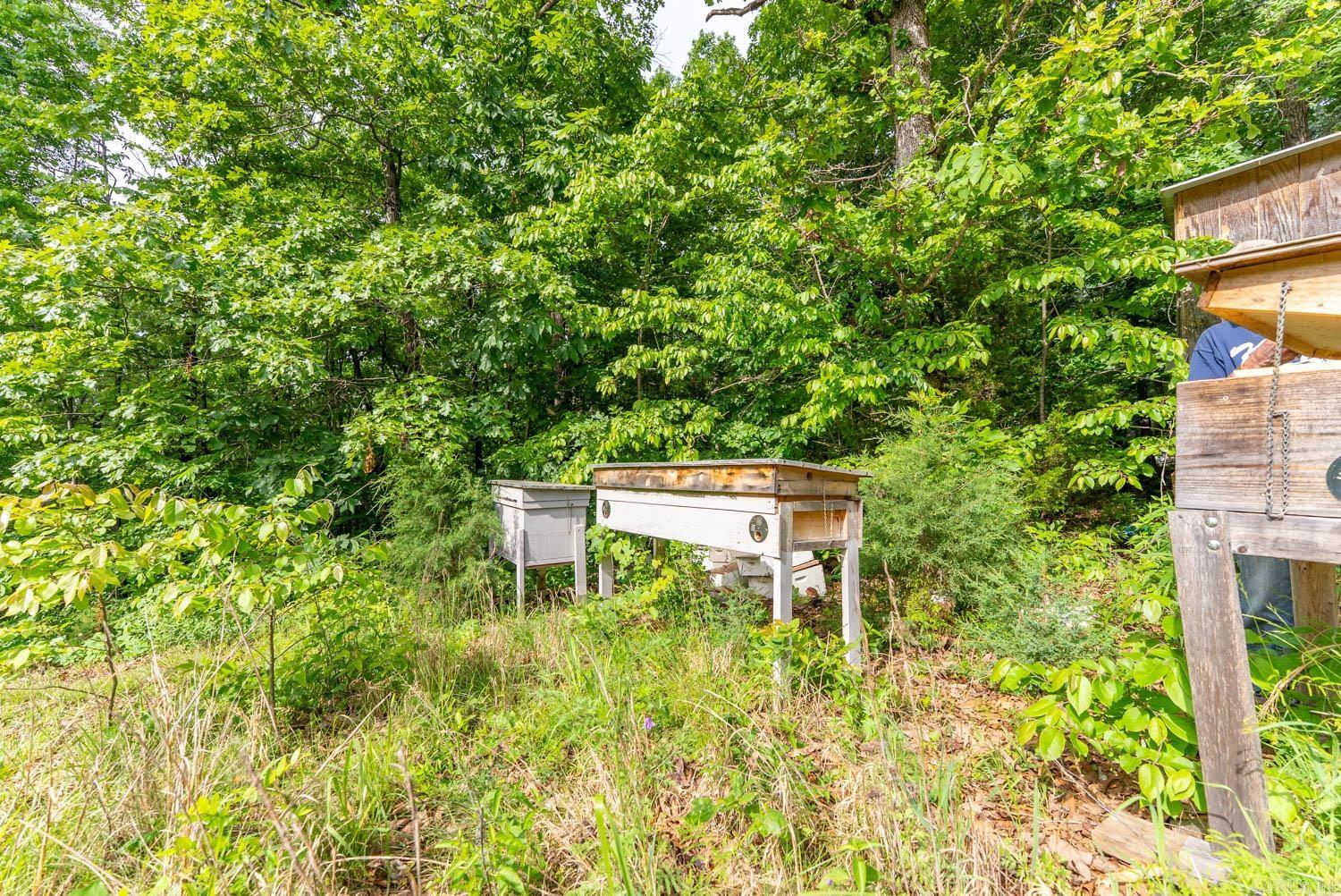 492 Timber Ridge  Mammoth Spring, AR