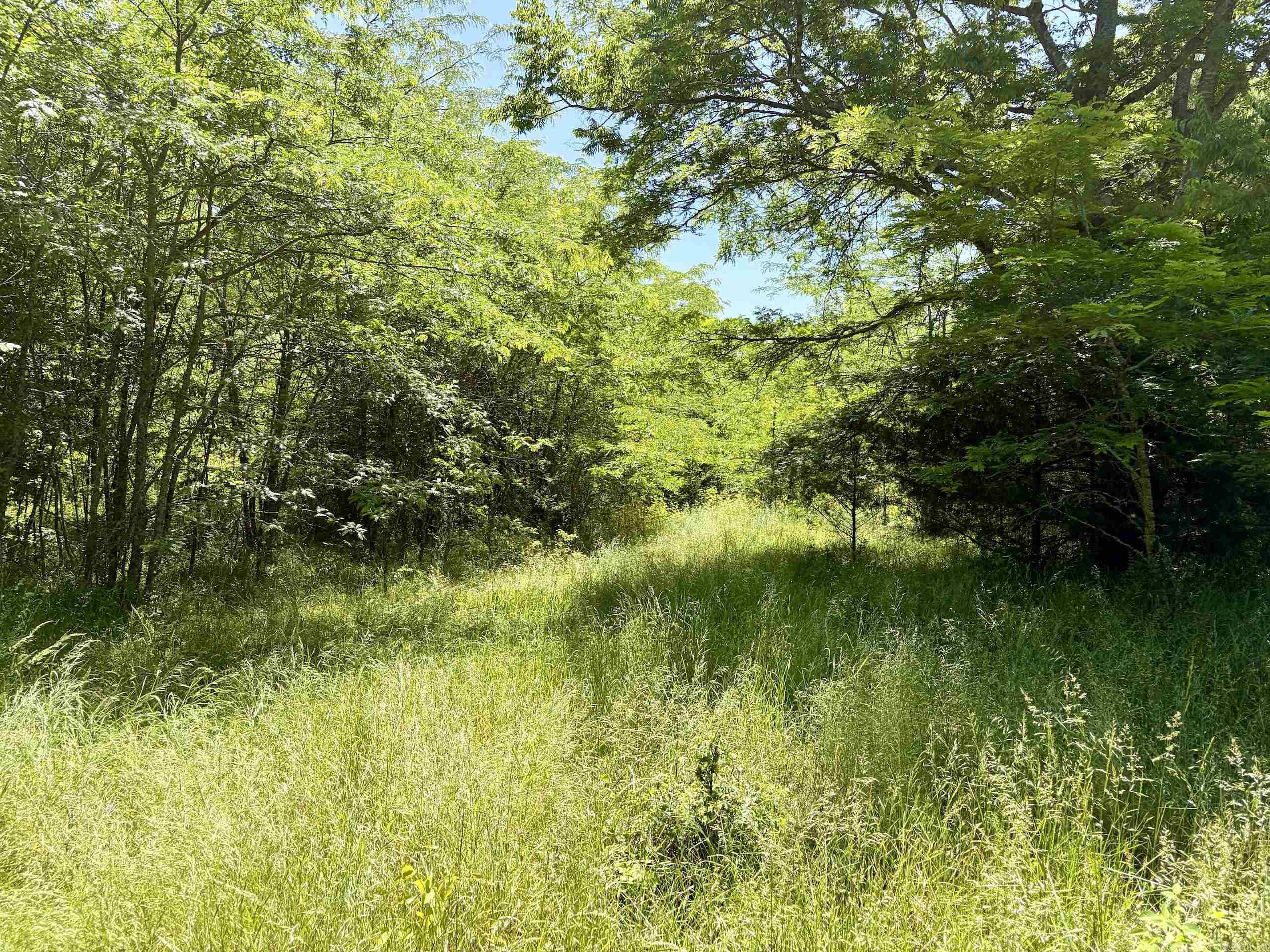 000 Burkett Flat Road  Greenbrier, AR