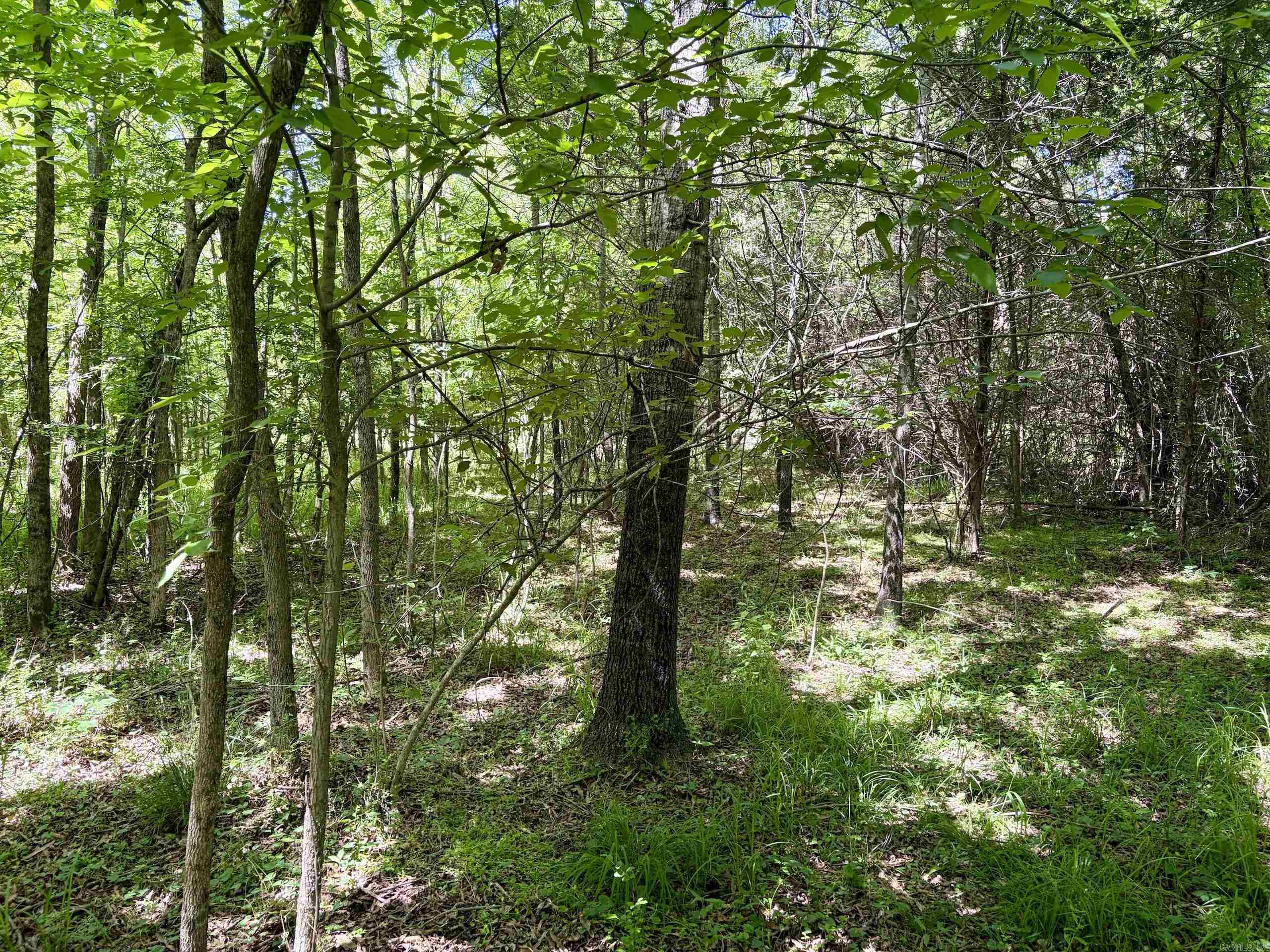 000 Burkett Flat Road  Greenbrier, AR