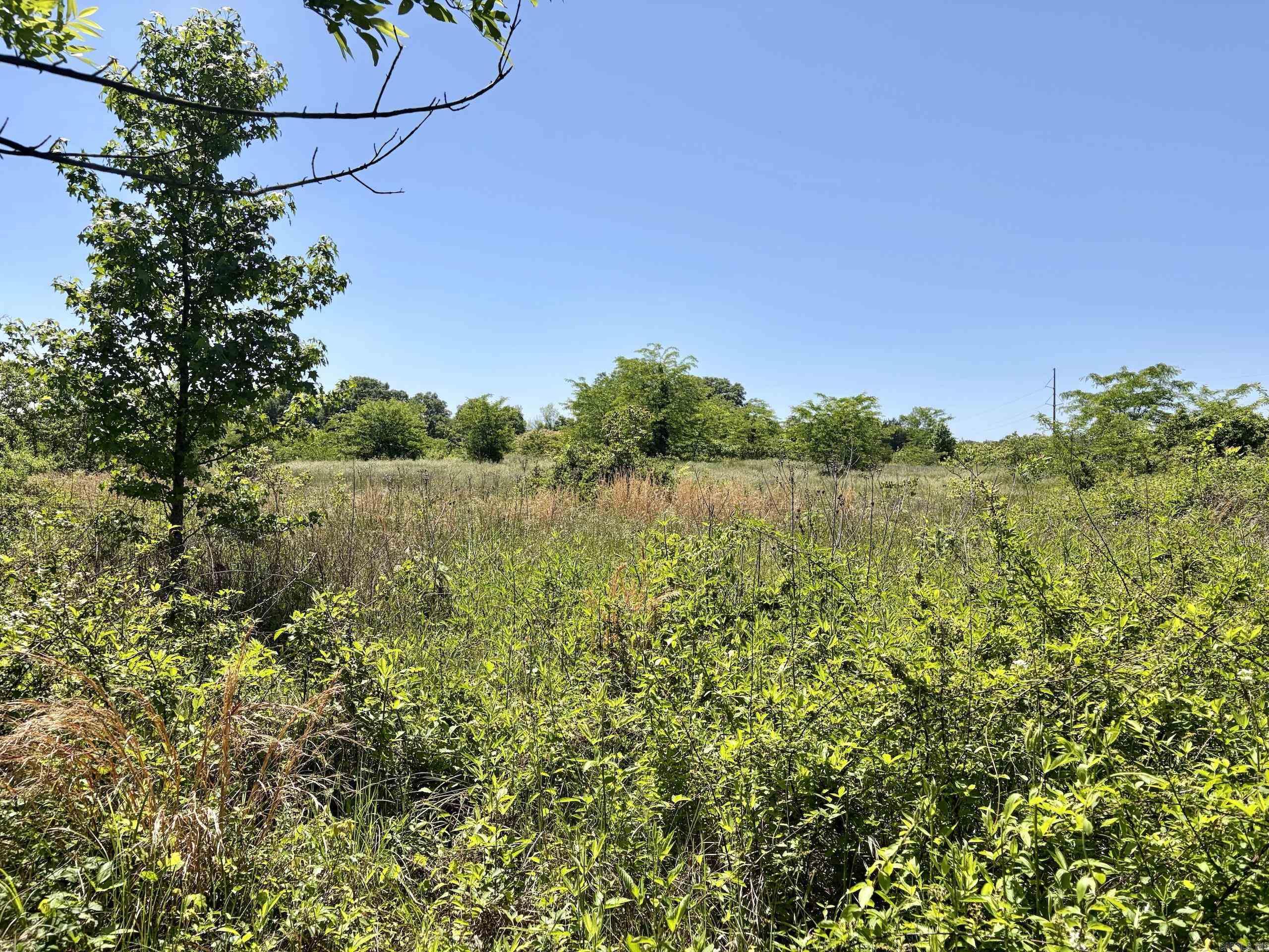 000 Burkett Flat Road  Greenbrier, AR