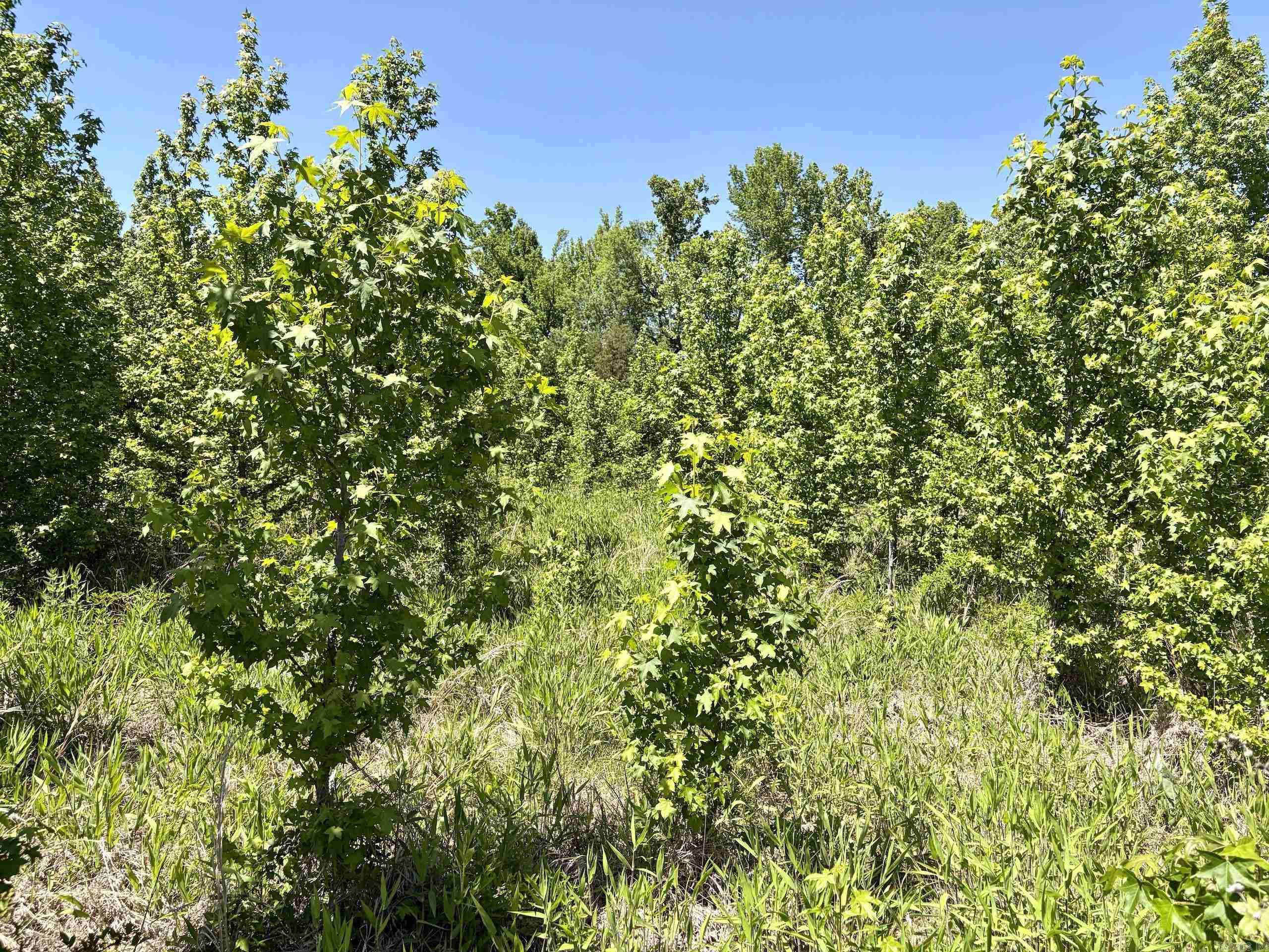000 Burkett Flat Road  Greenbrier, AR