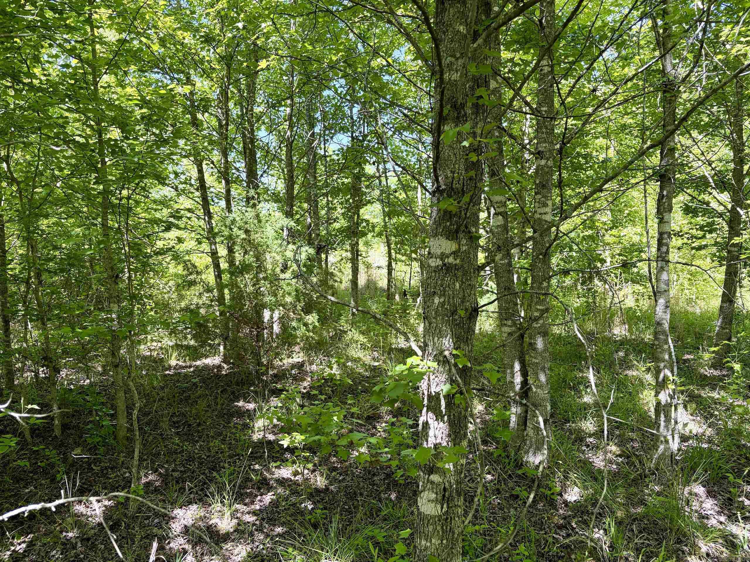 000 Burkett Flat Road  Greenbrier, AR