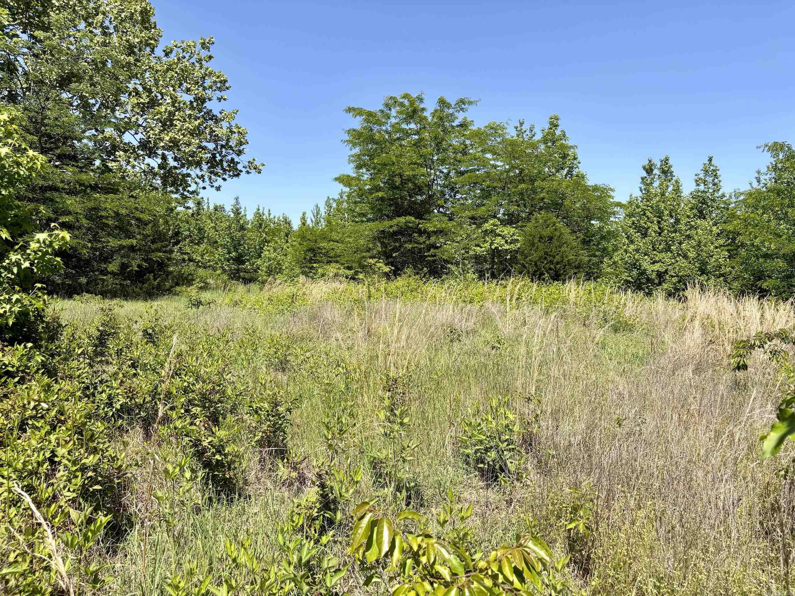 000 Burkett Flat Road  Greenbrier, AR