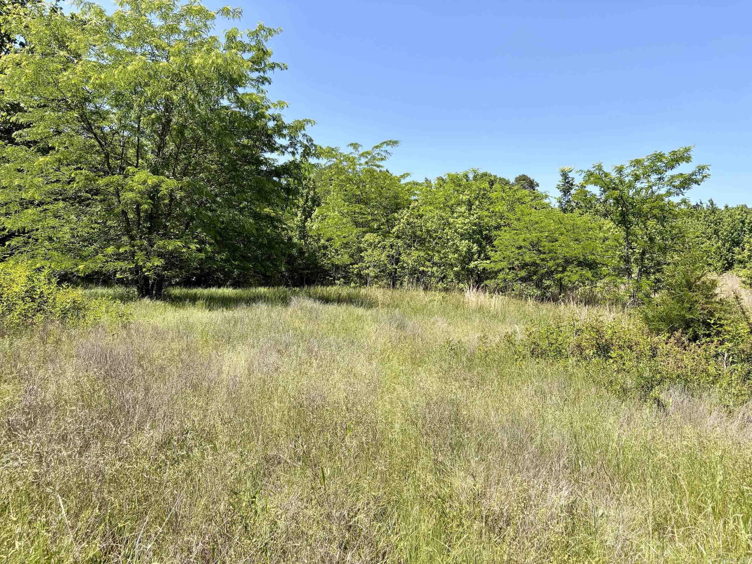 000 Burkett Flat Road  Greenbrier, AR