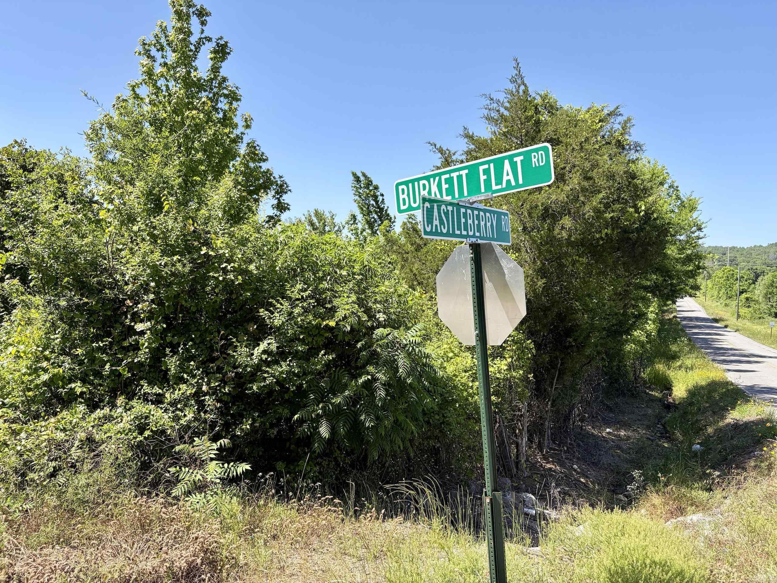 000 Burkett Flat Road  Greenbrier, AR