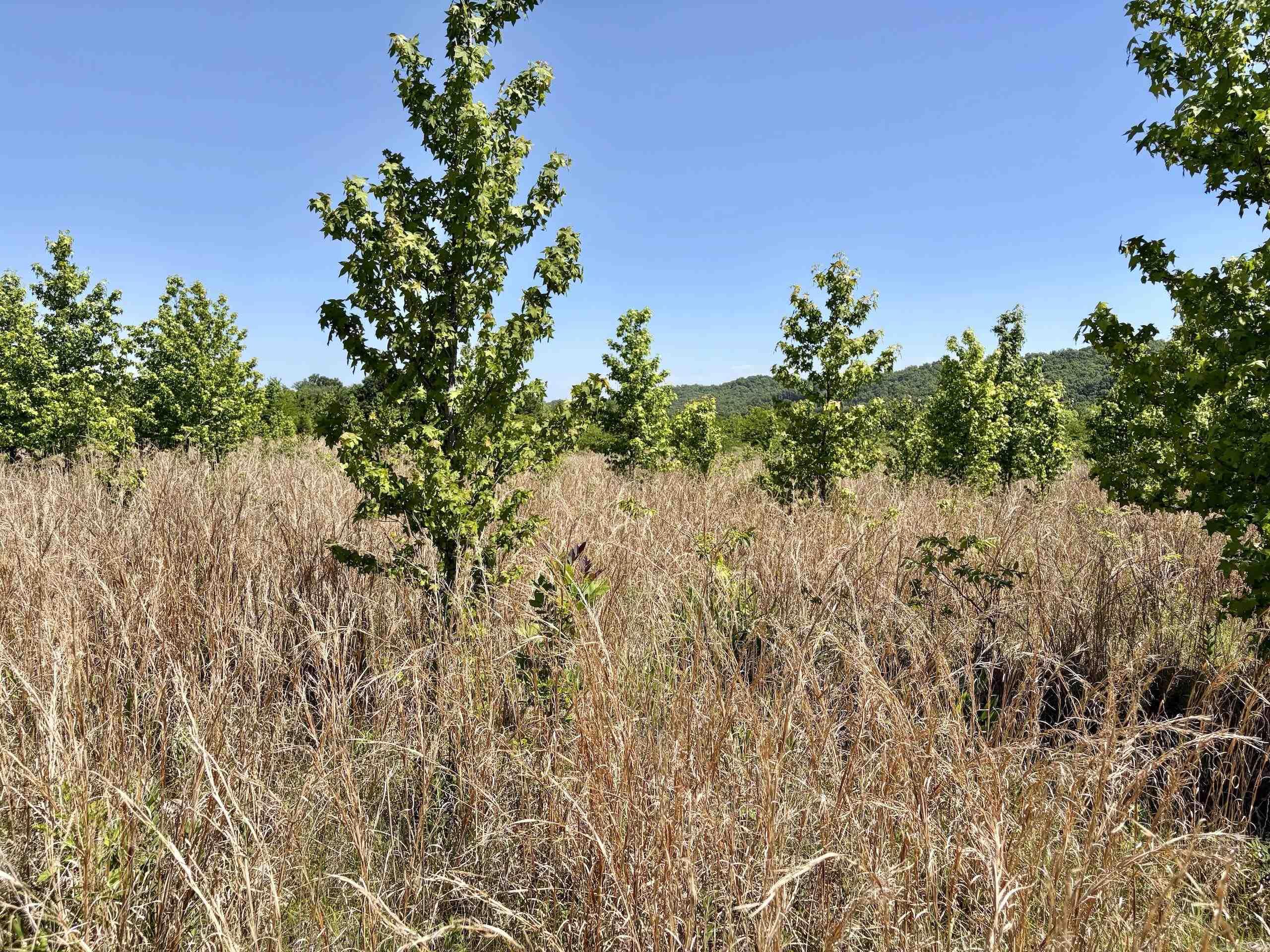 000 Burkett Flat Road  Greenbrier, AR