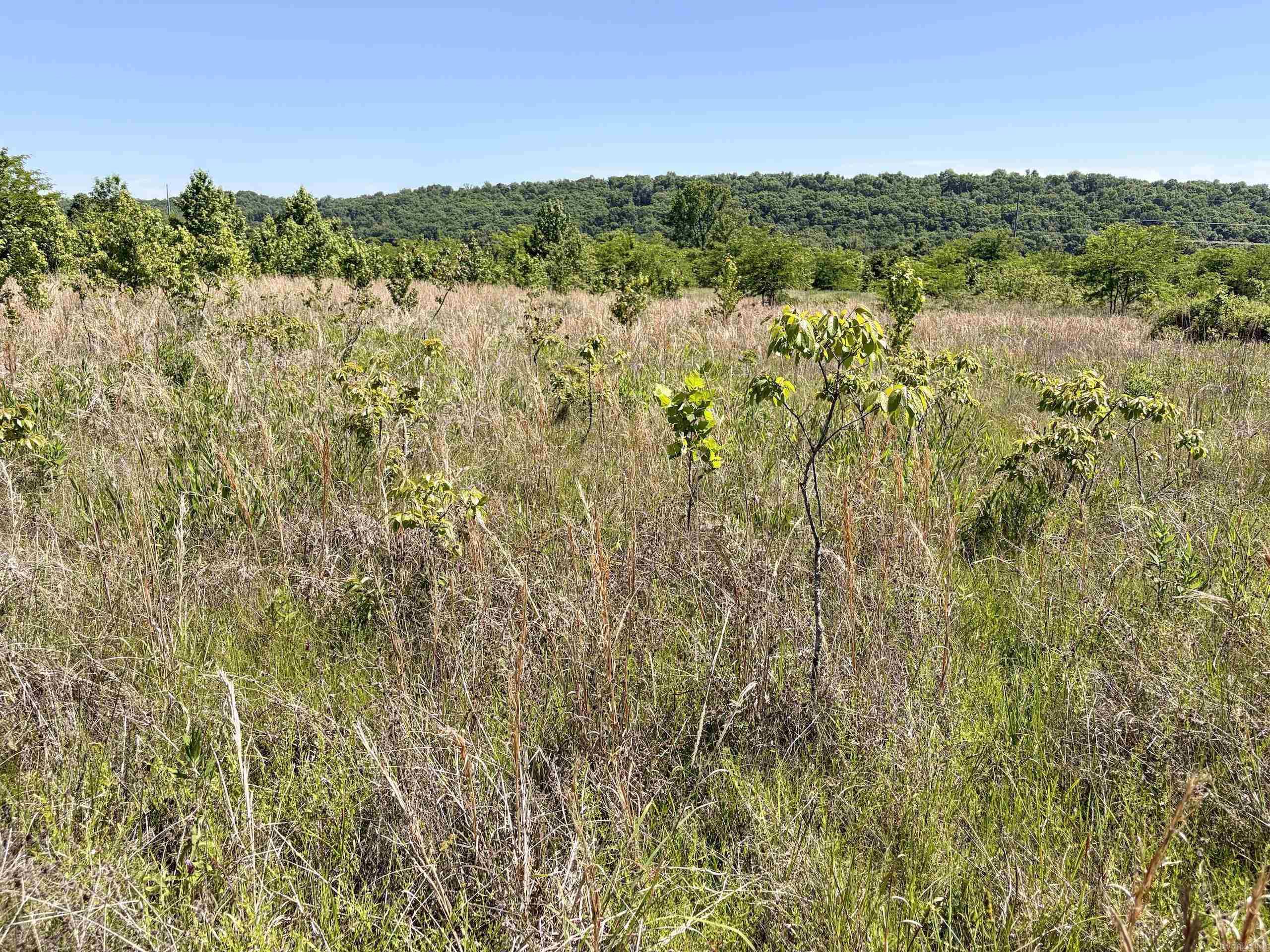 000 Burkett Flat Road  Greenbrier, AR