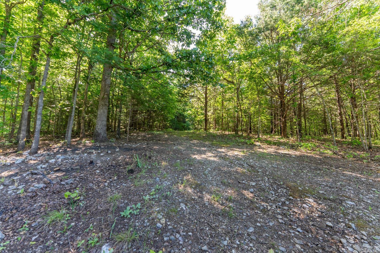 910 Marion County 7097  Flippin, AR
