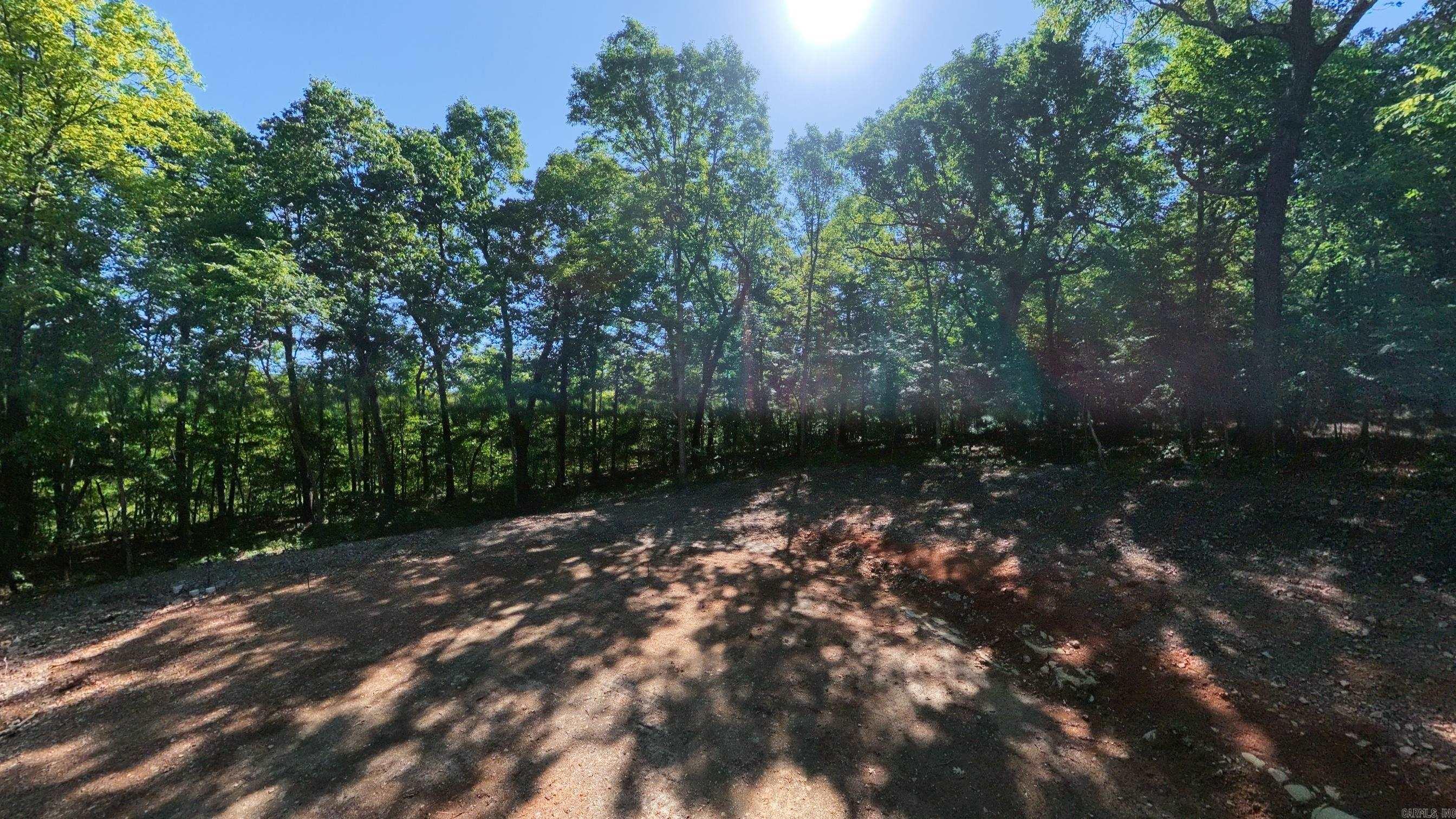 910 Marion County 7097  Flippin, AR