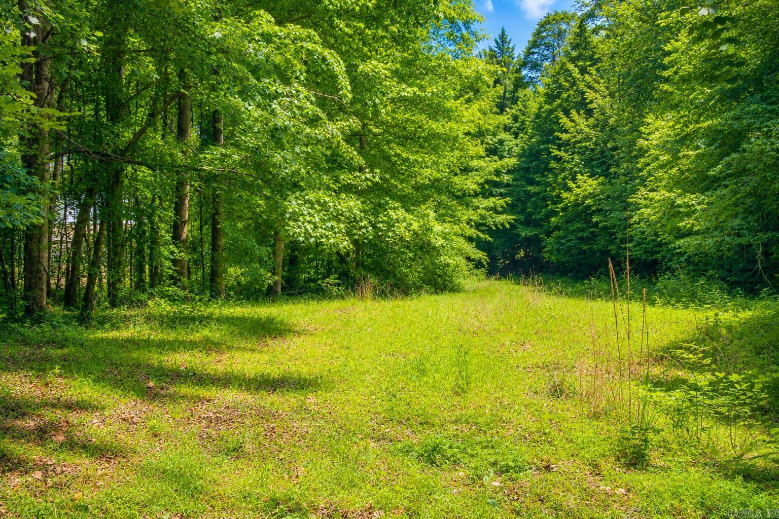 3788 Sfc 415  Forrest City, AR