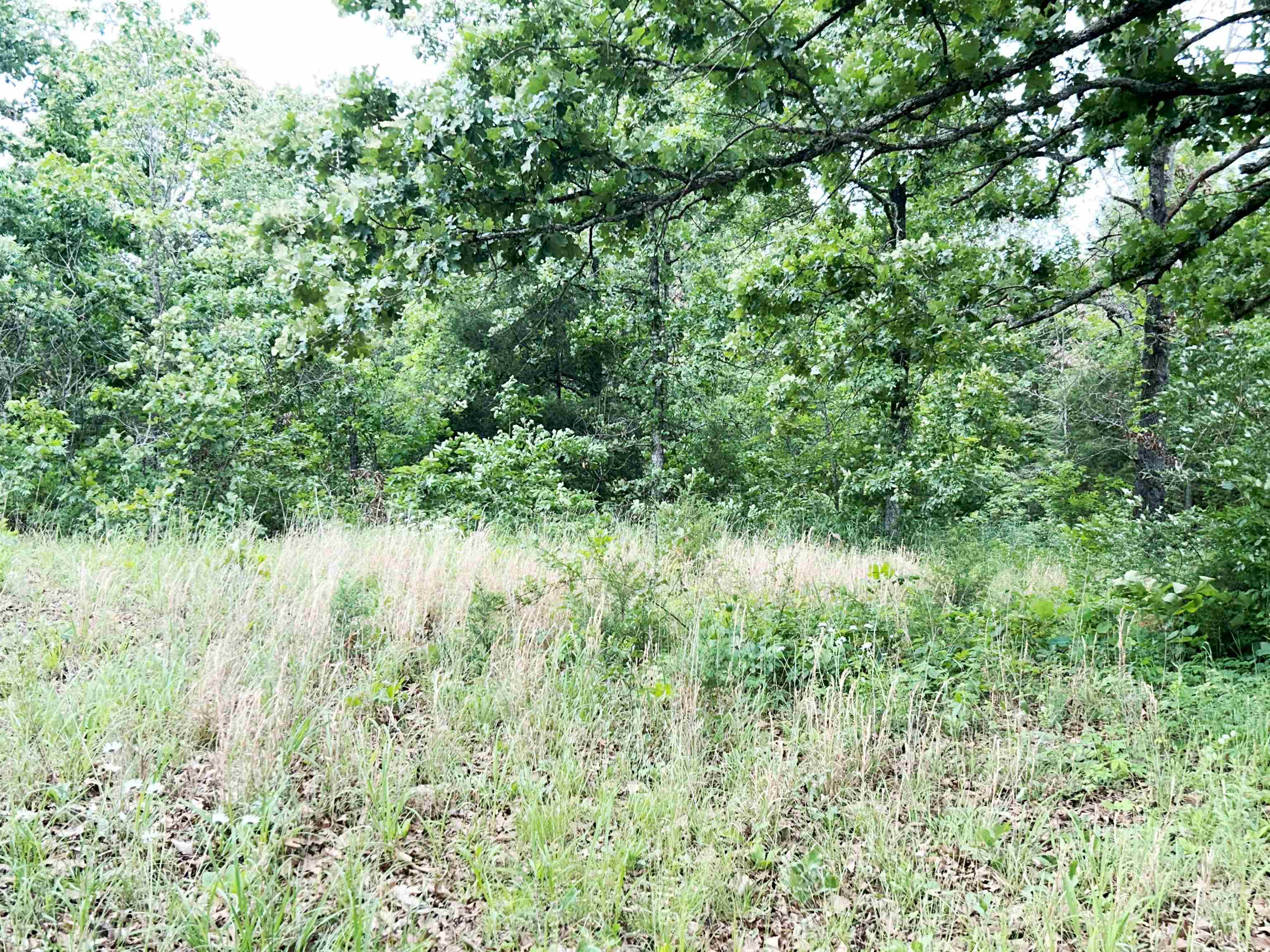 1774 AR Hwy 175  Hardy, AR