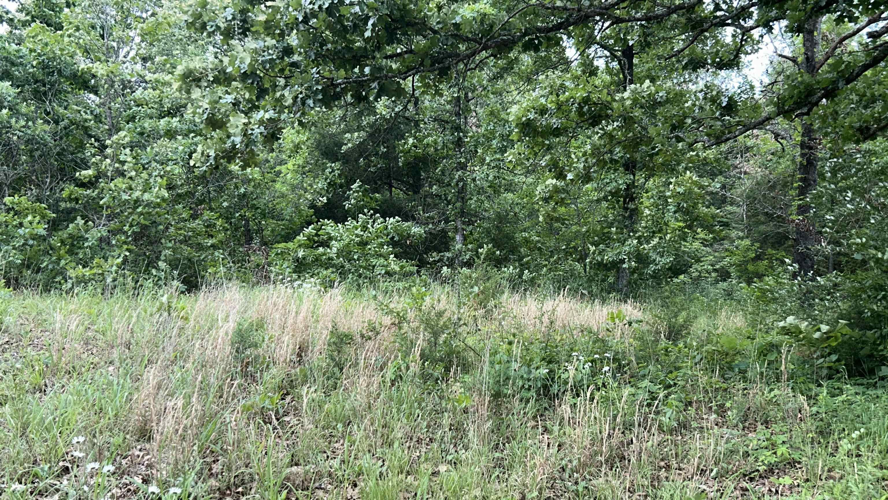 1774 AR Hwy 175  Hardy, AR