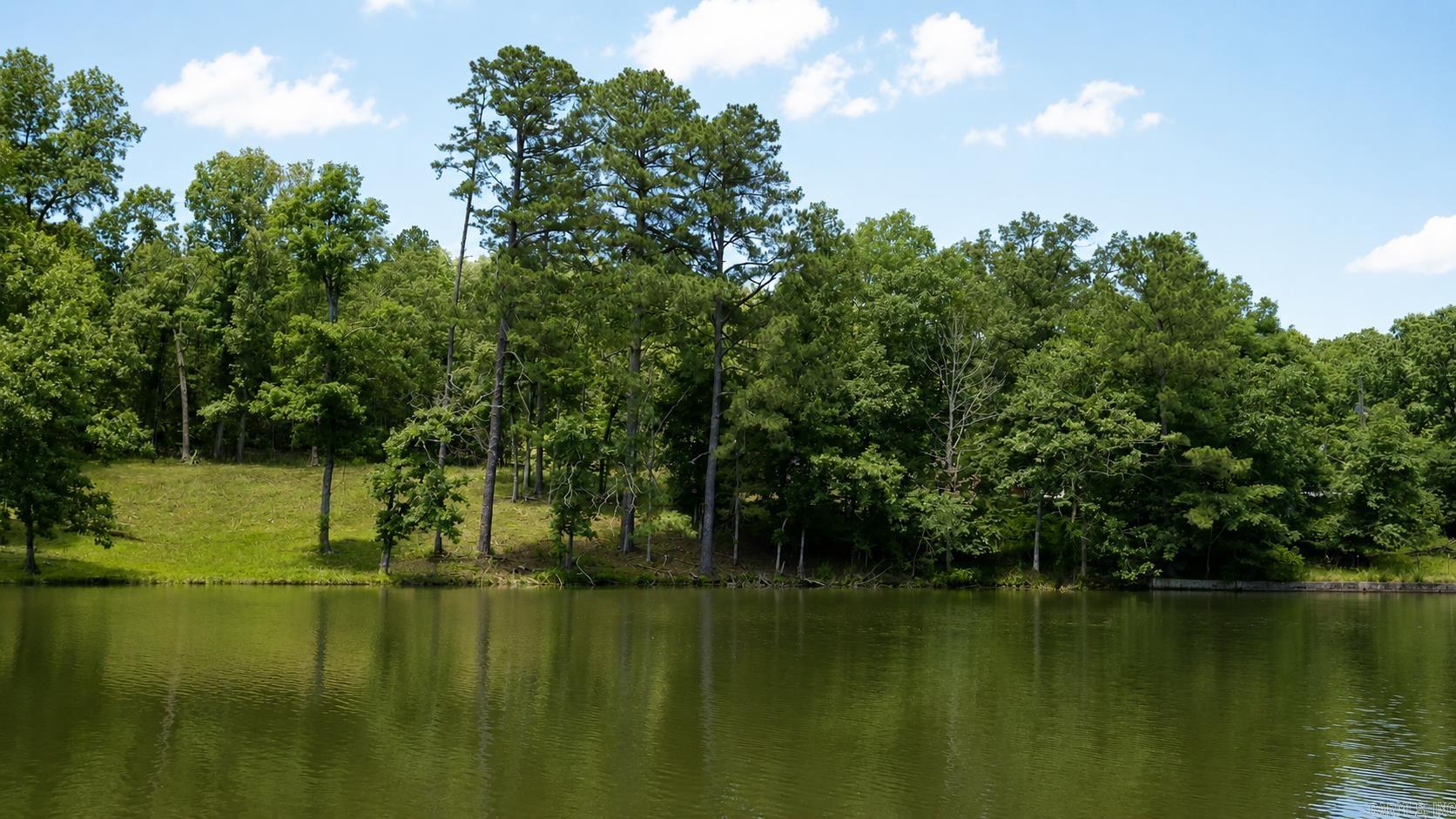 1655 Timberlake  Royal, AR