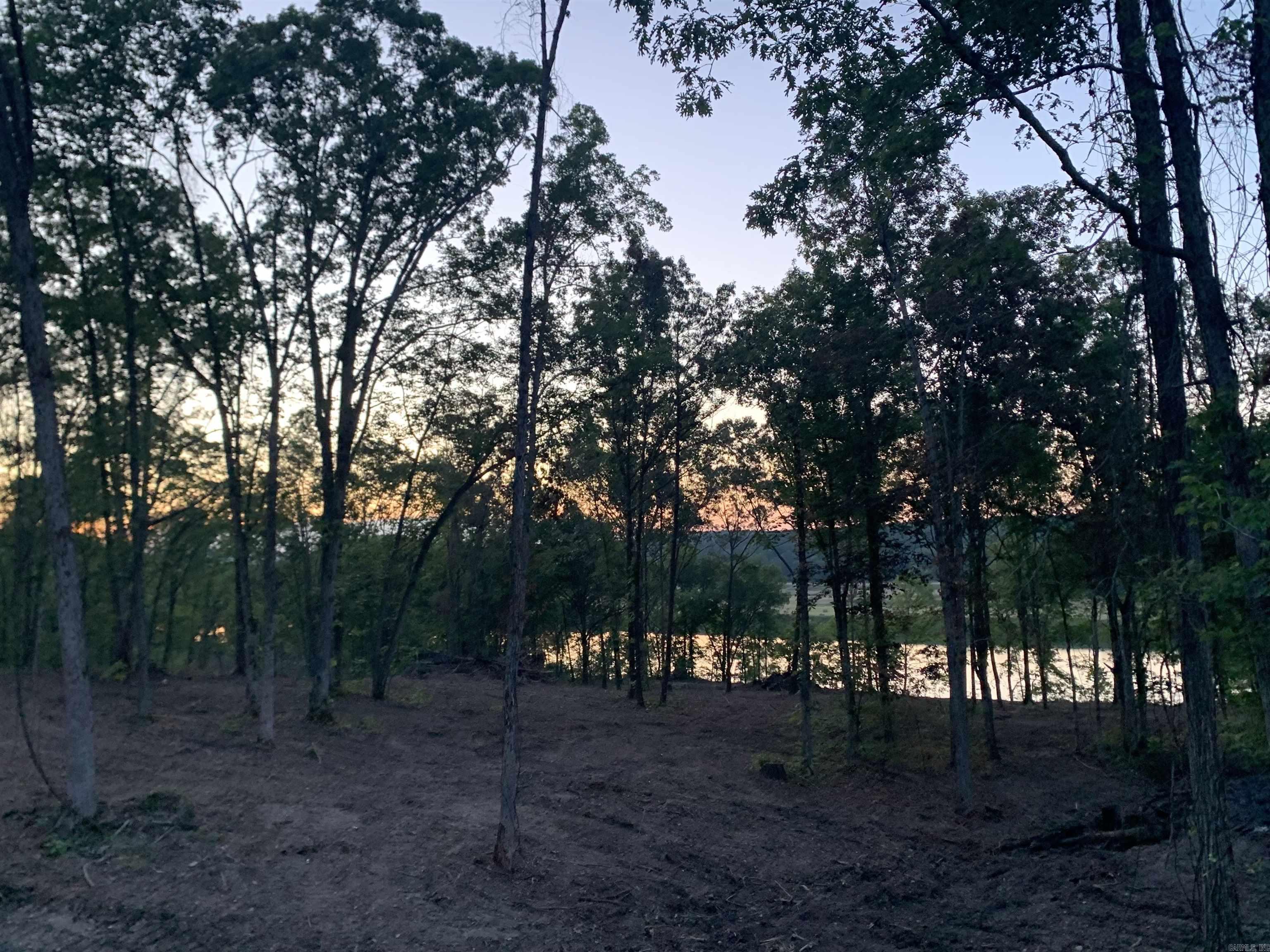 Lot 3 Mountain View Rd  Locust Grove, AR