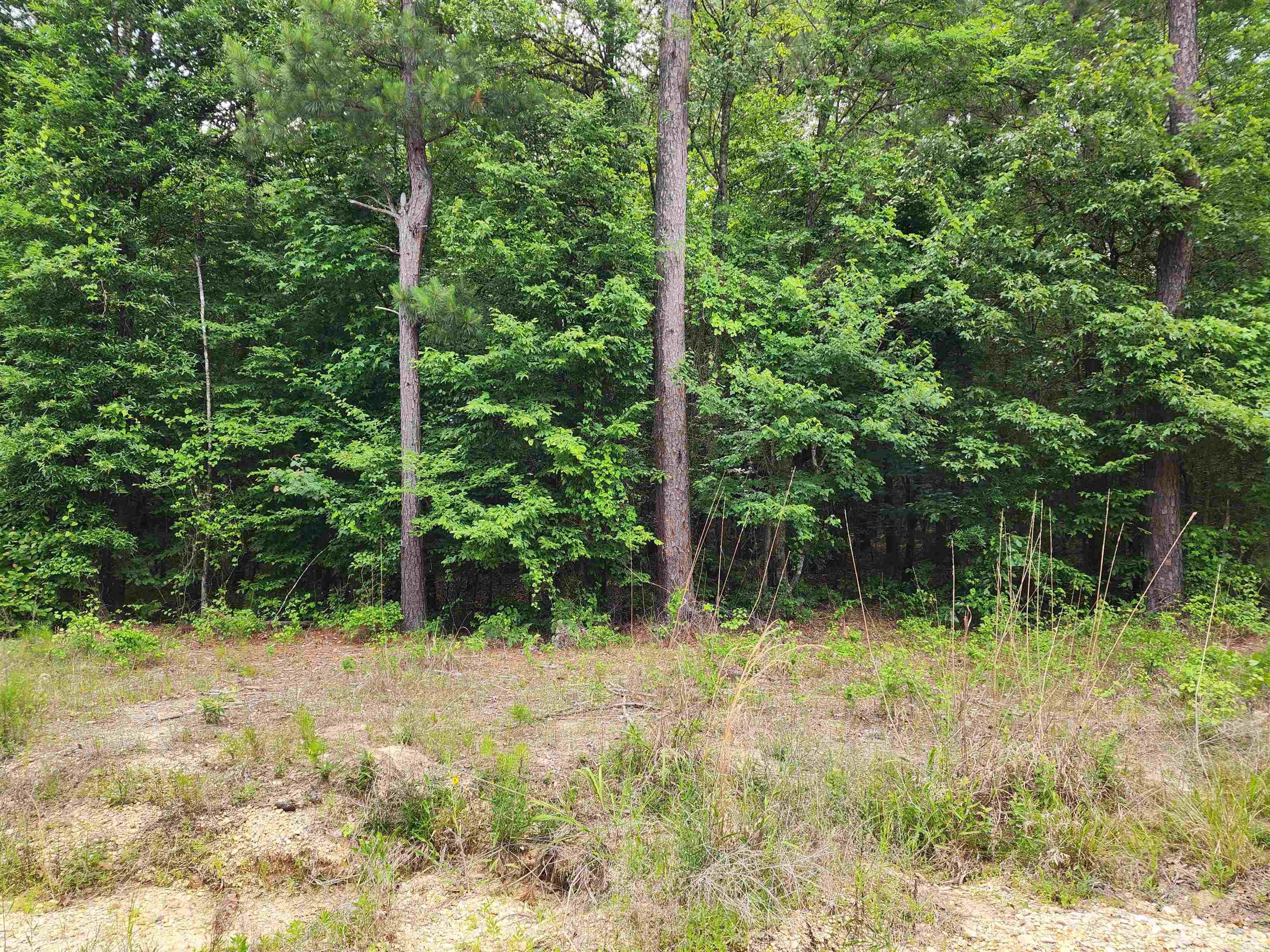 3900 Southfield  El Dorado, AR