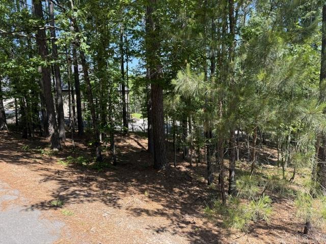 7 Belleza  Hot Springs Village, AR