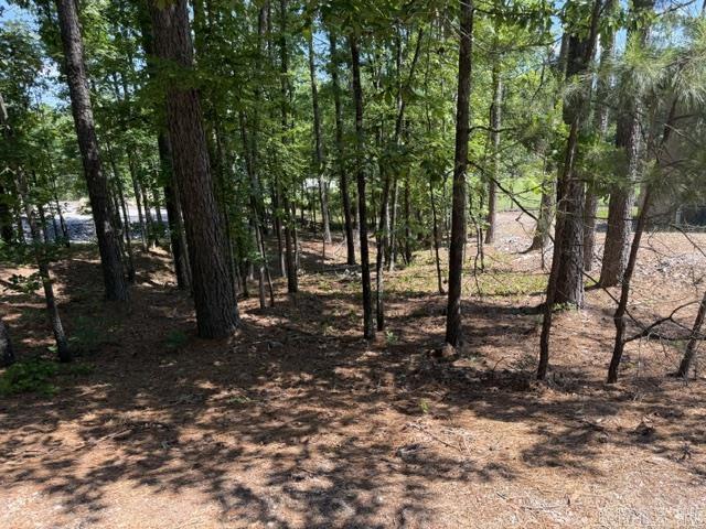7 Belleza  Hot Springs Village, AR