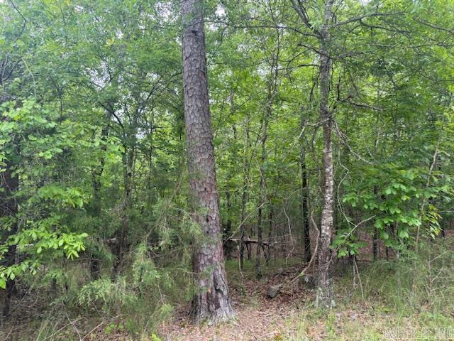 118 Cifuentes  Hot Springs Village, AR