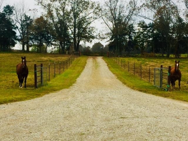 129 Old Ridge Rd  Salem, AR