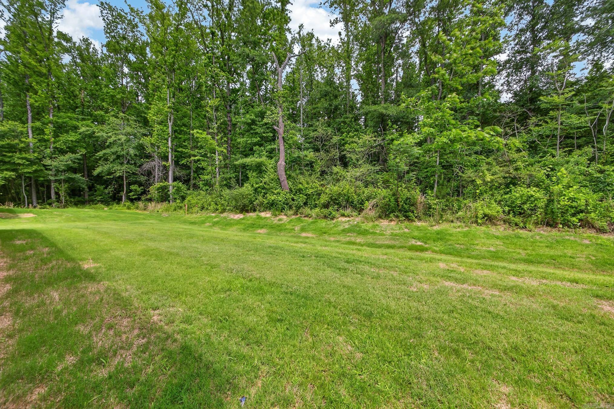 61 Wolfsbridge  Cabot, AR