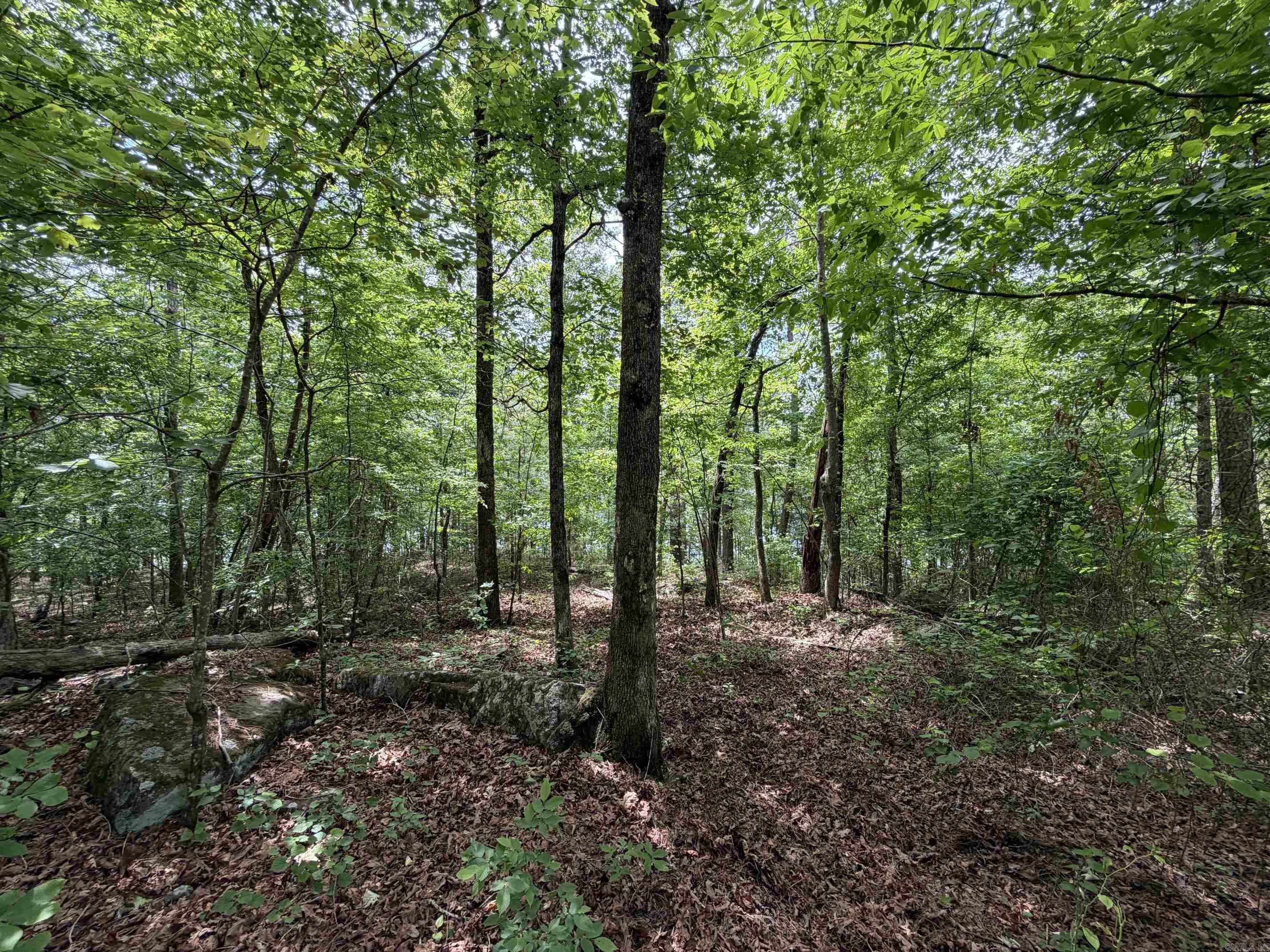 1200 Bear Mountain  Prim, AR