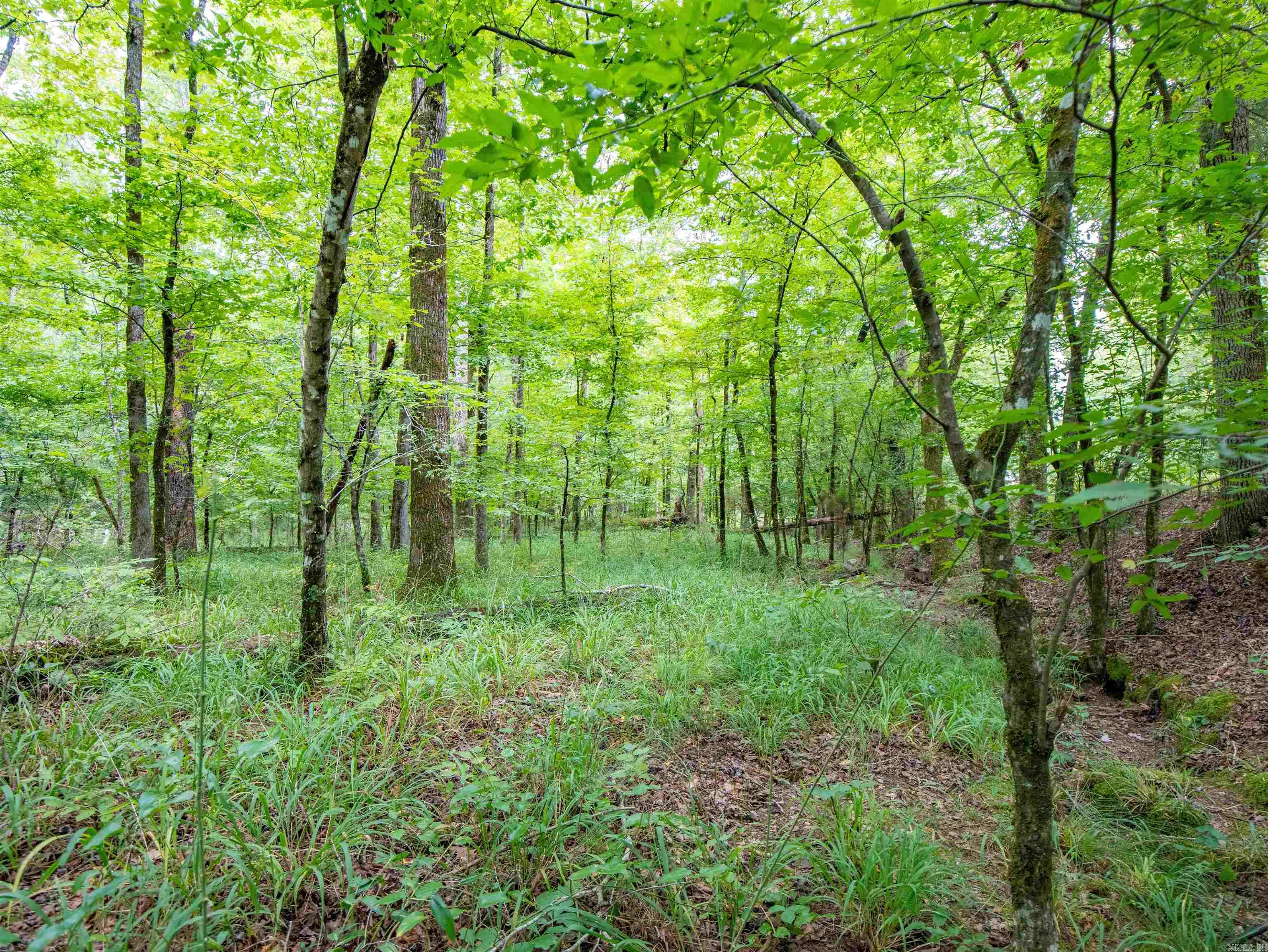 1 Camino  Hot Springs Village, AR