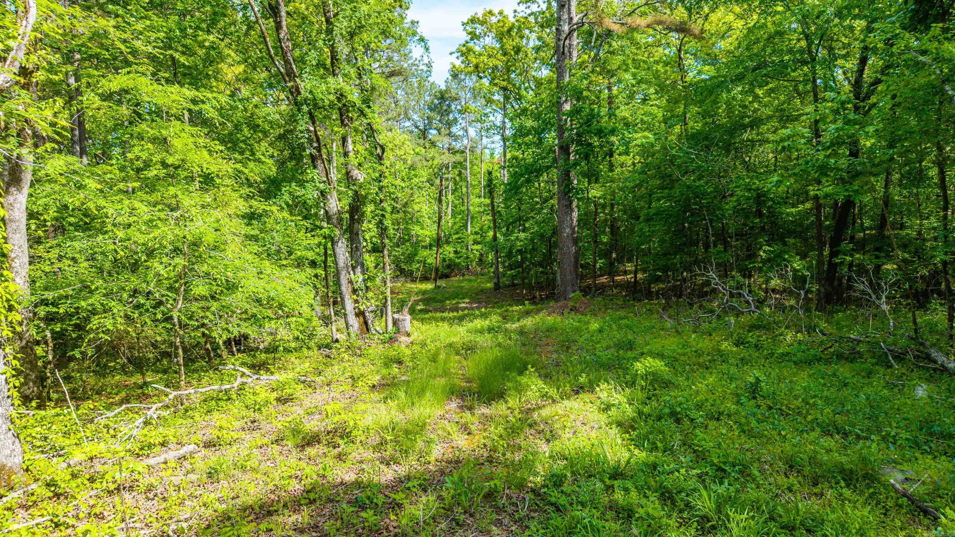 182 Omaha  Pearcy, AR