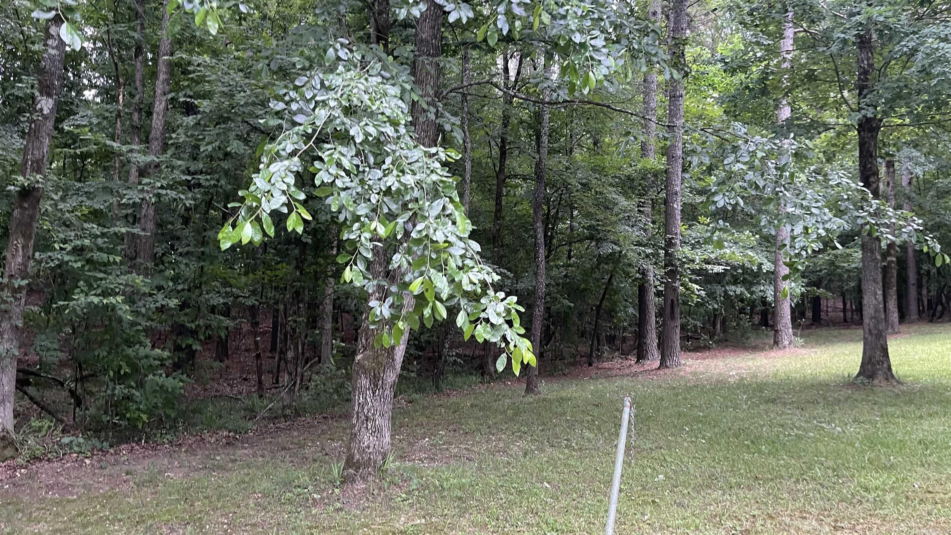 3219 Peeler Bend Road  Benton, AR