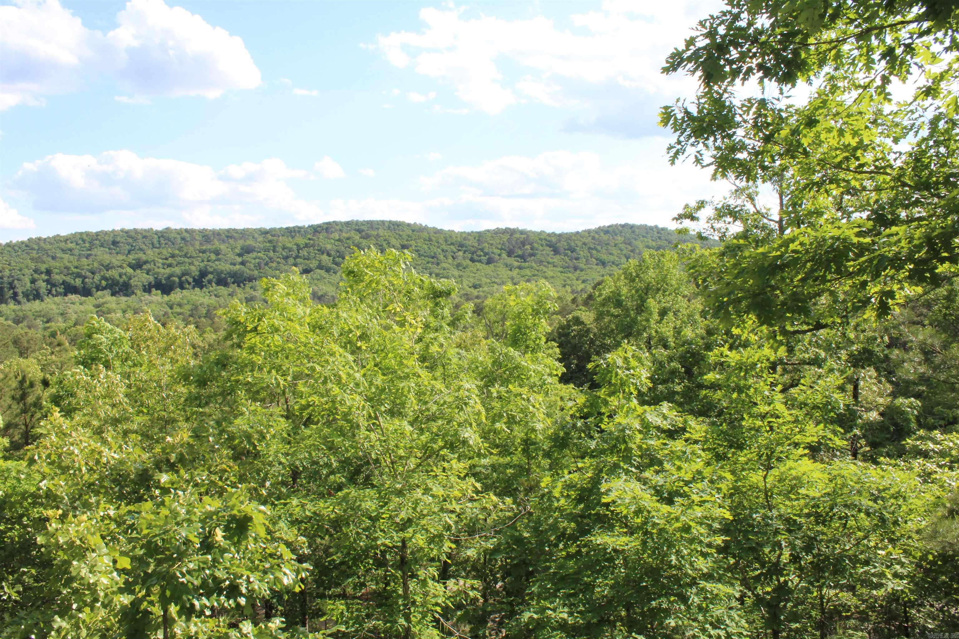 28410 Kanis Rd  Paron, AR