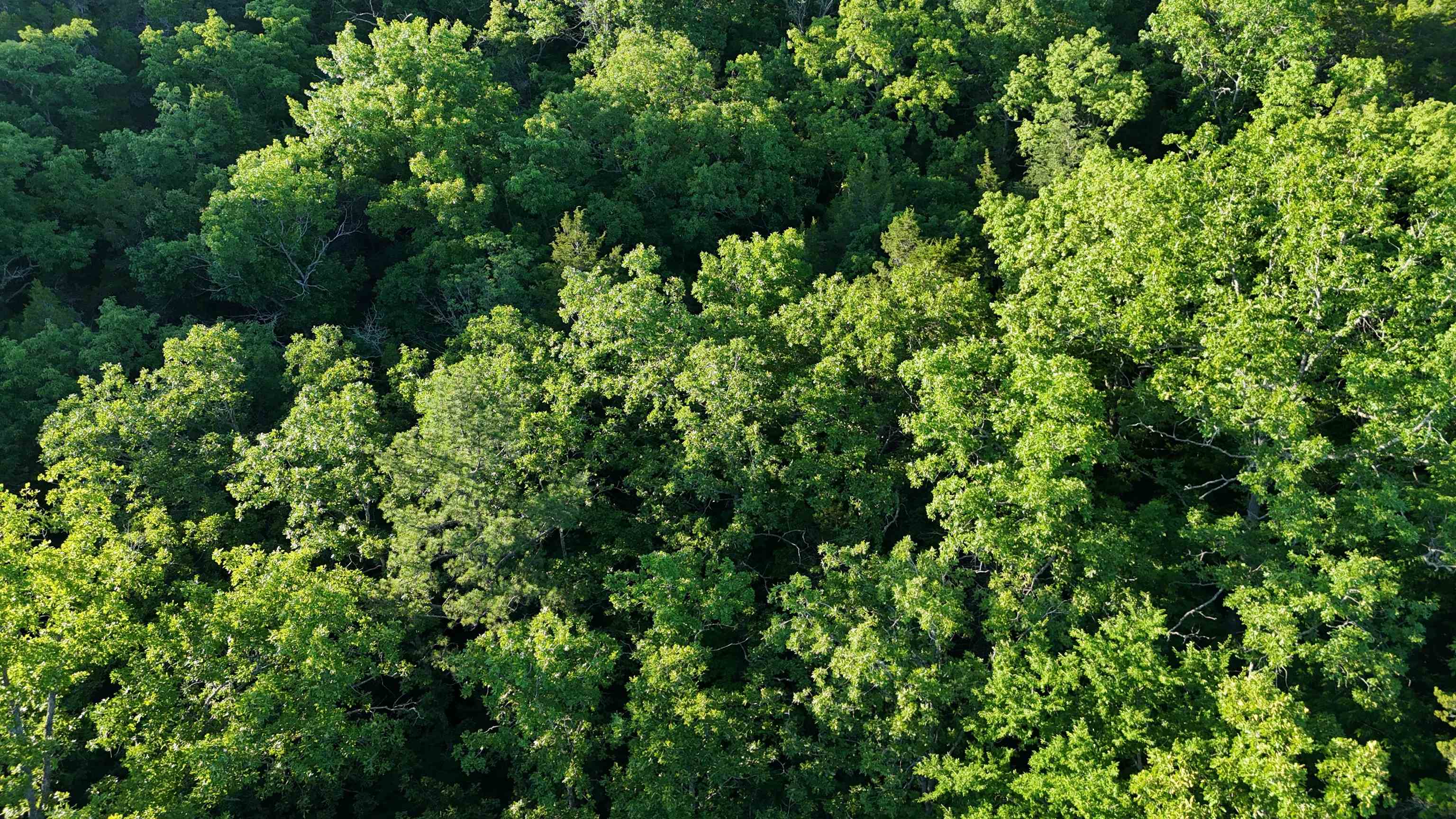 Lot 8 and 9 Ripplin Shoals  Melbourne, AR