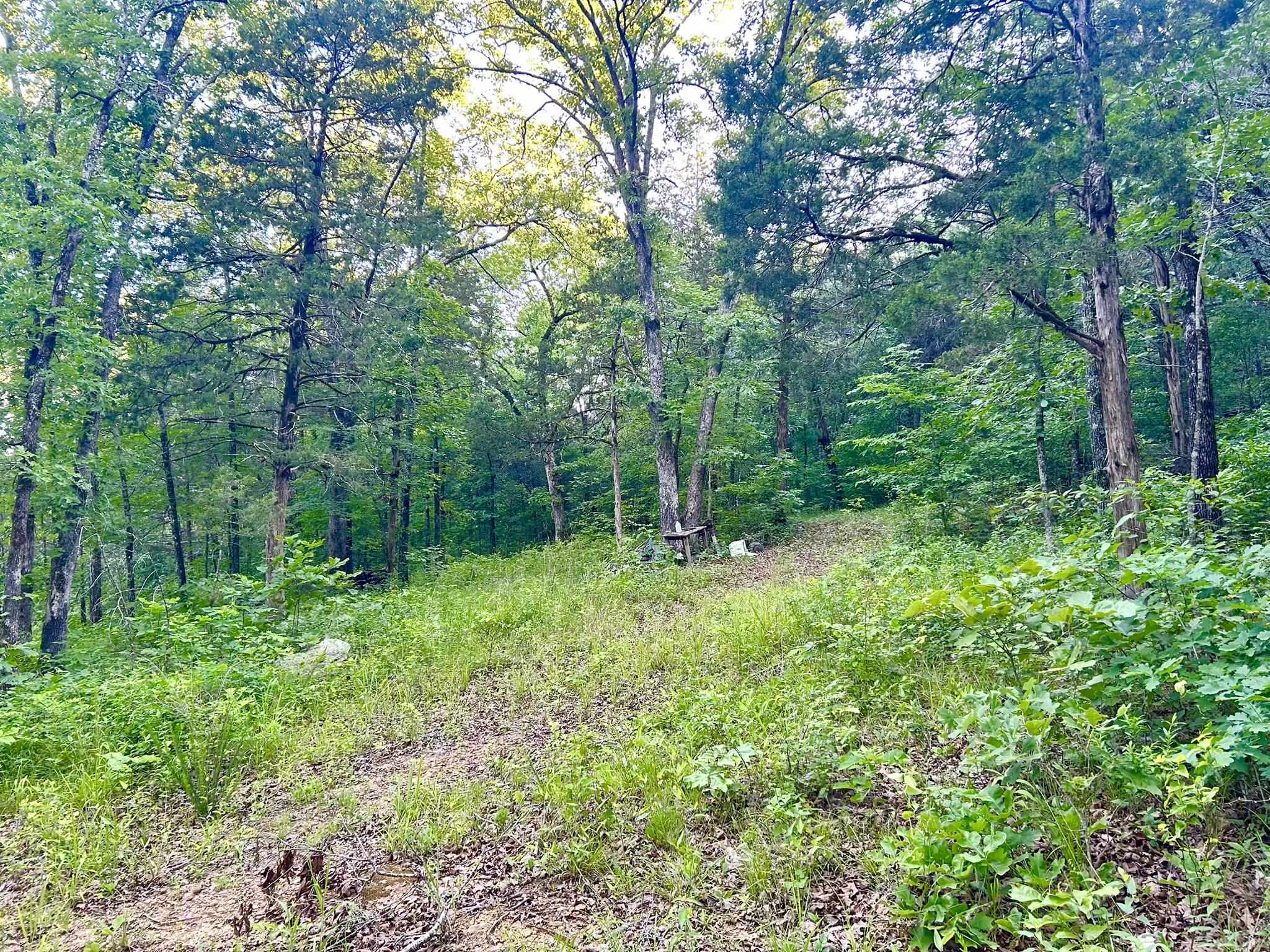 Lot 8 and 9 Ripplin Shoals  Melbourne, AR