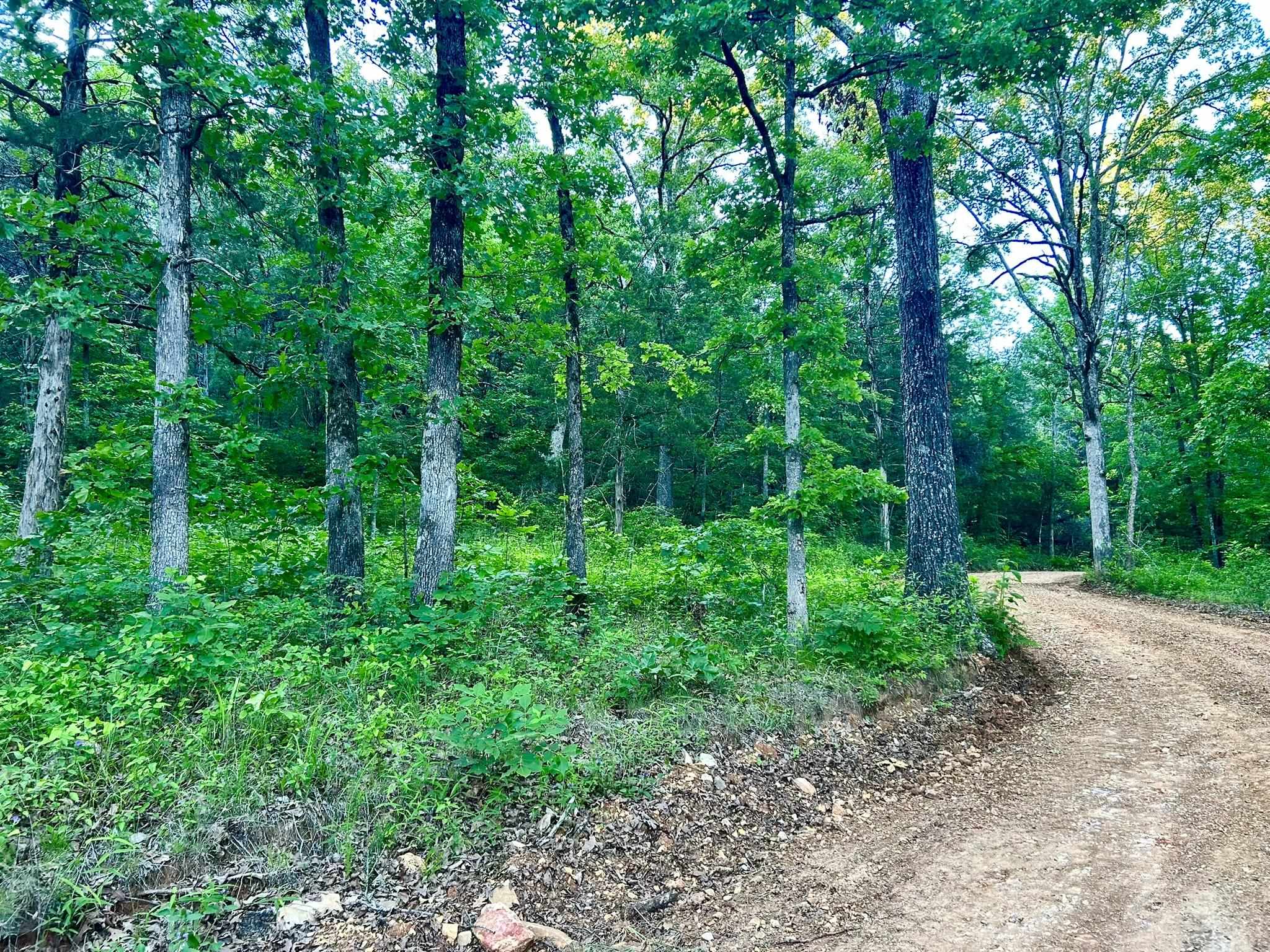 Lot 8 and 9 Ripplin Shoals  Melbourne, AR