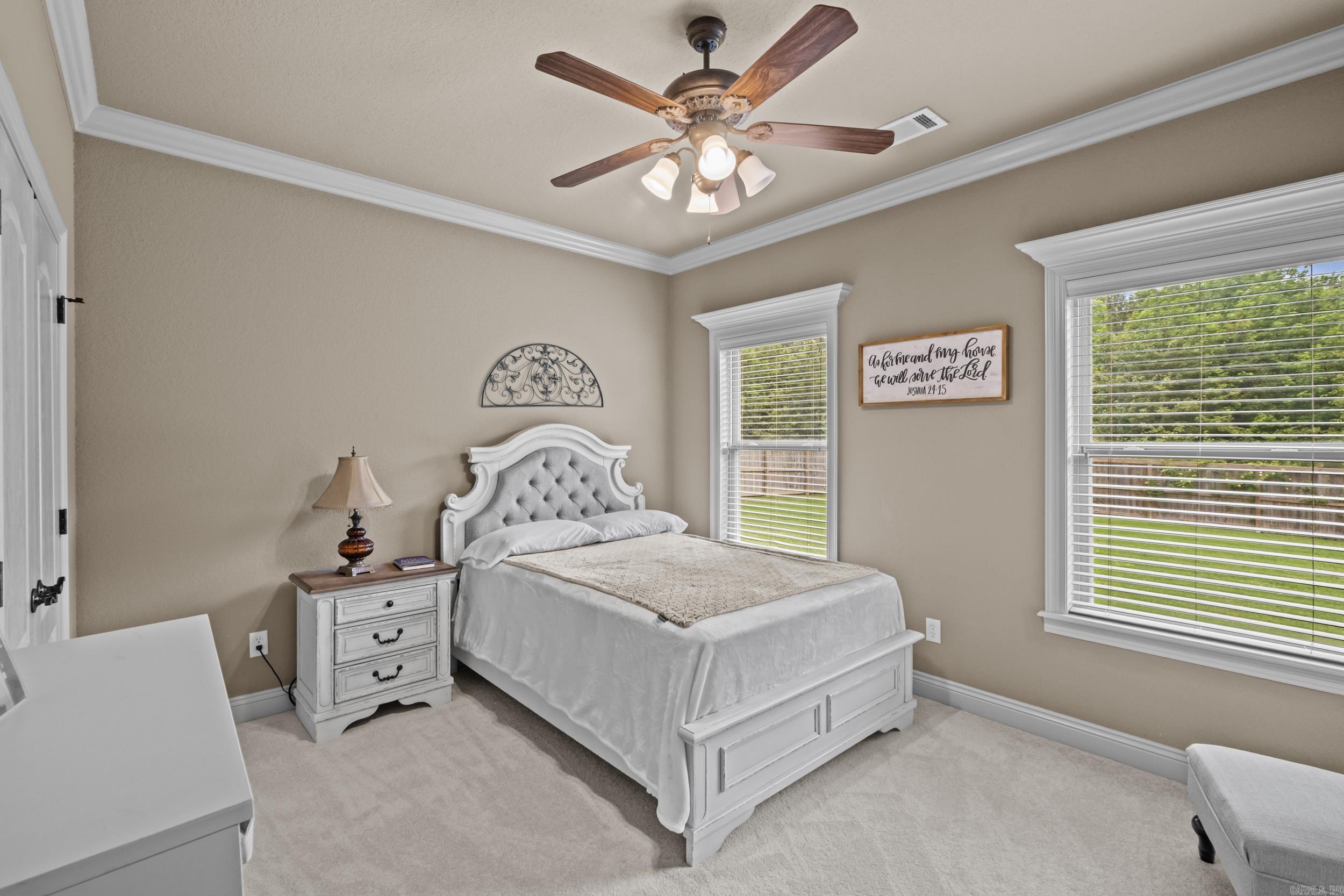 41 Shadow Creek Cir  Austin, AR