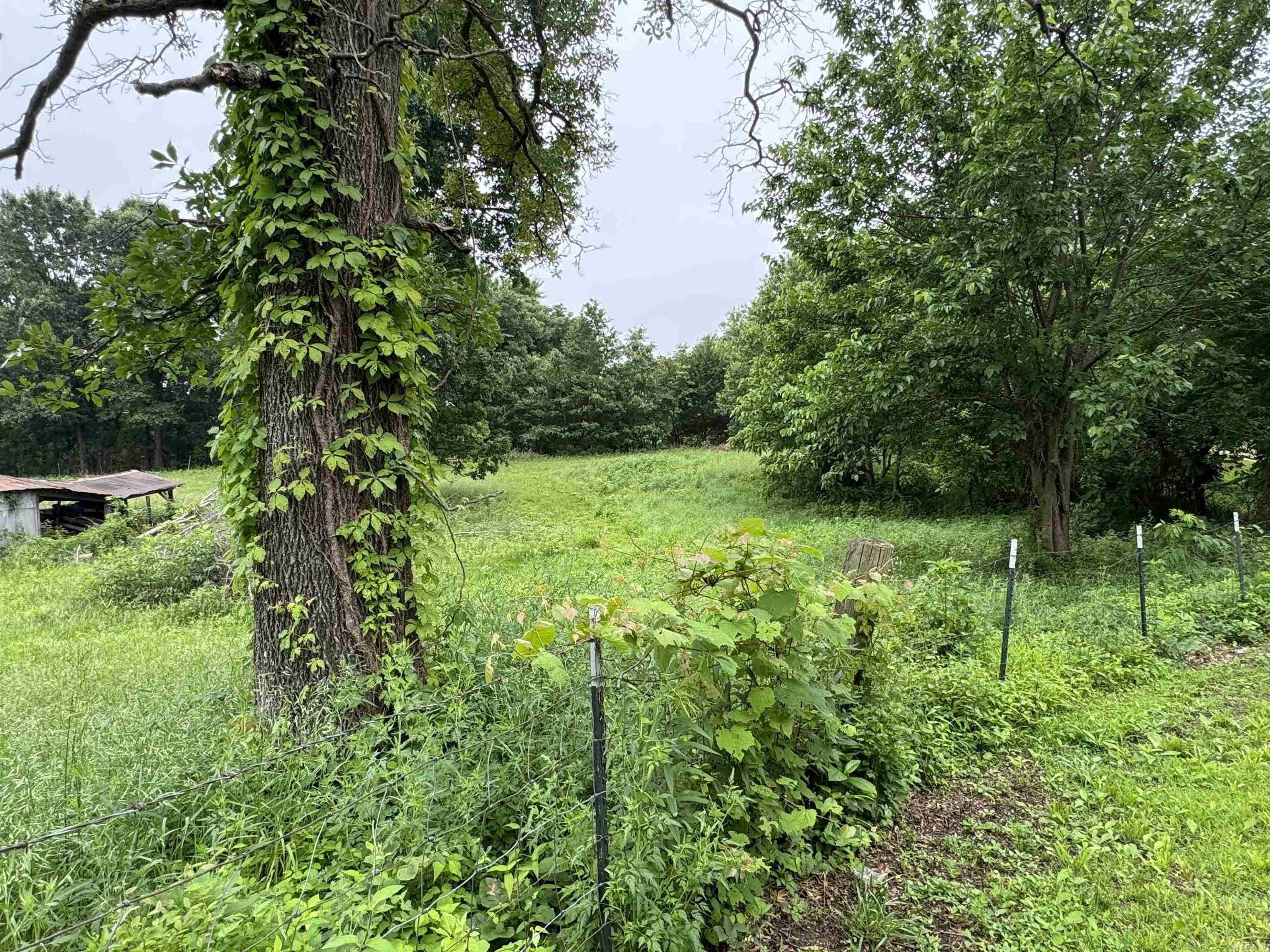 687 CR 472  Piggott, AR
